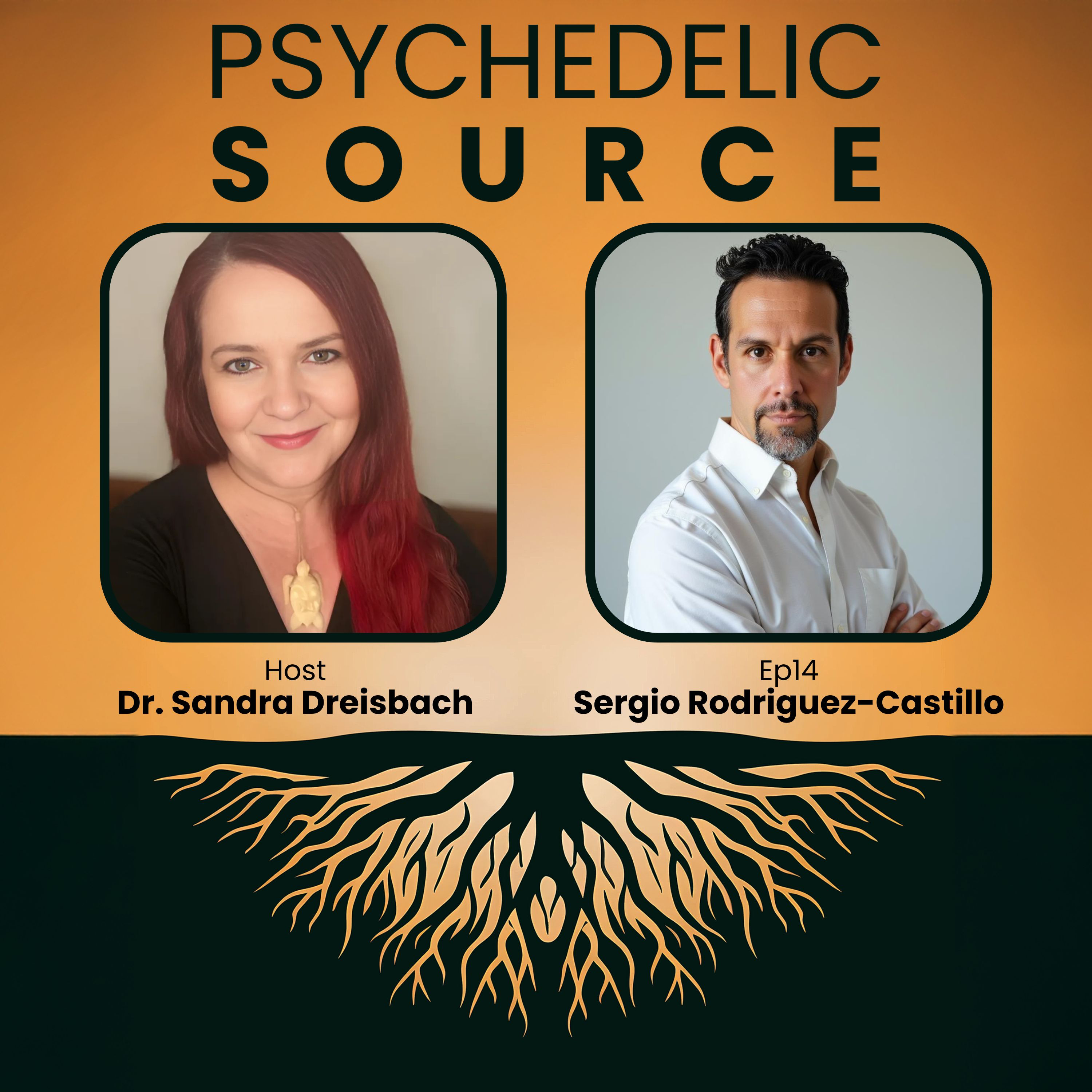 Psychedelic Source