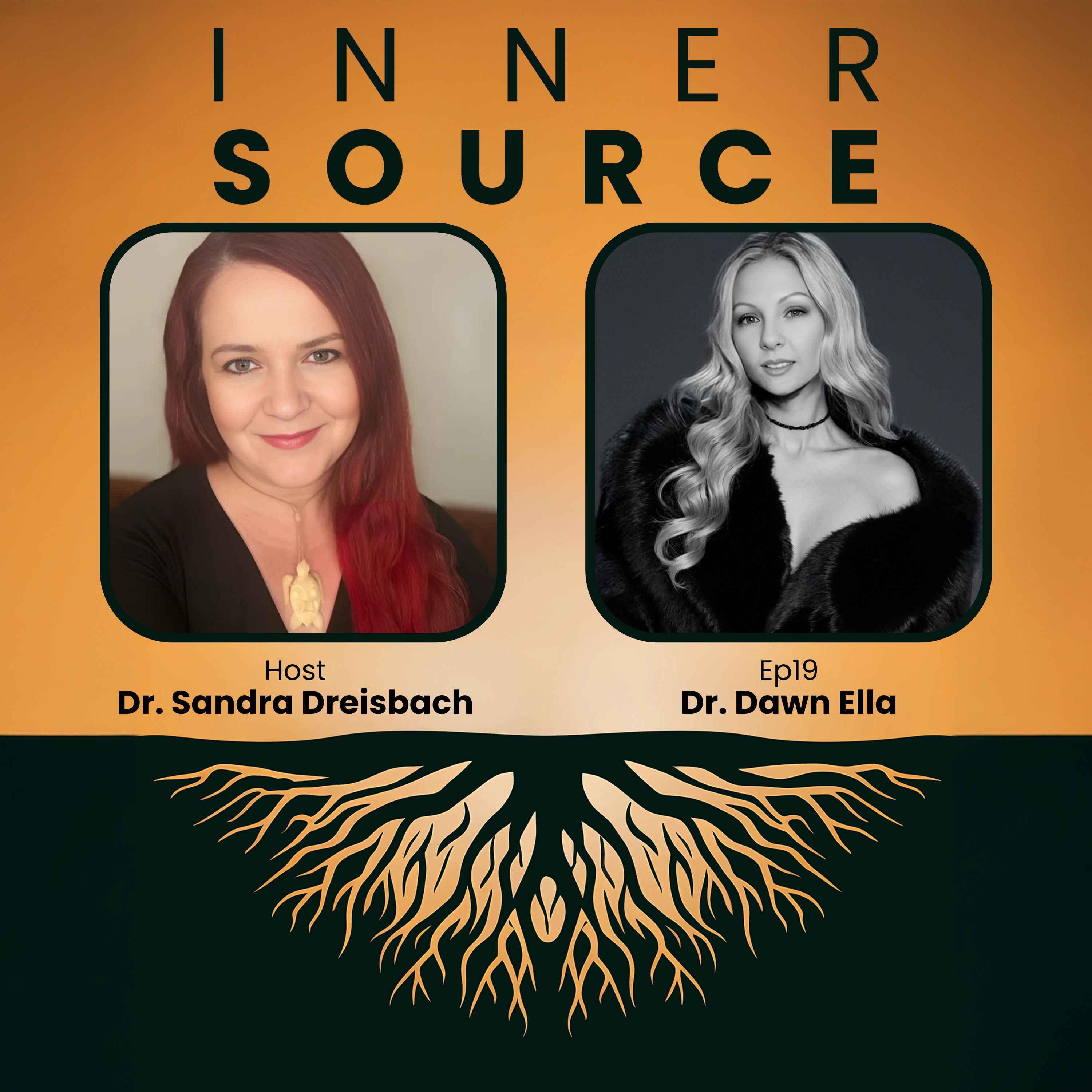 Ep19 Dr. Dawn Ella—How a Near-Death Experience, a 3-Day Coma, and Retrograde Amnesia Became a Blueprint for Multi-Dimensional Healing