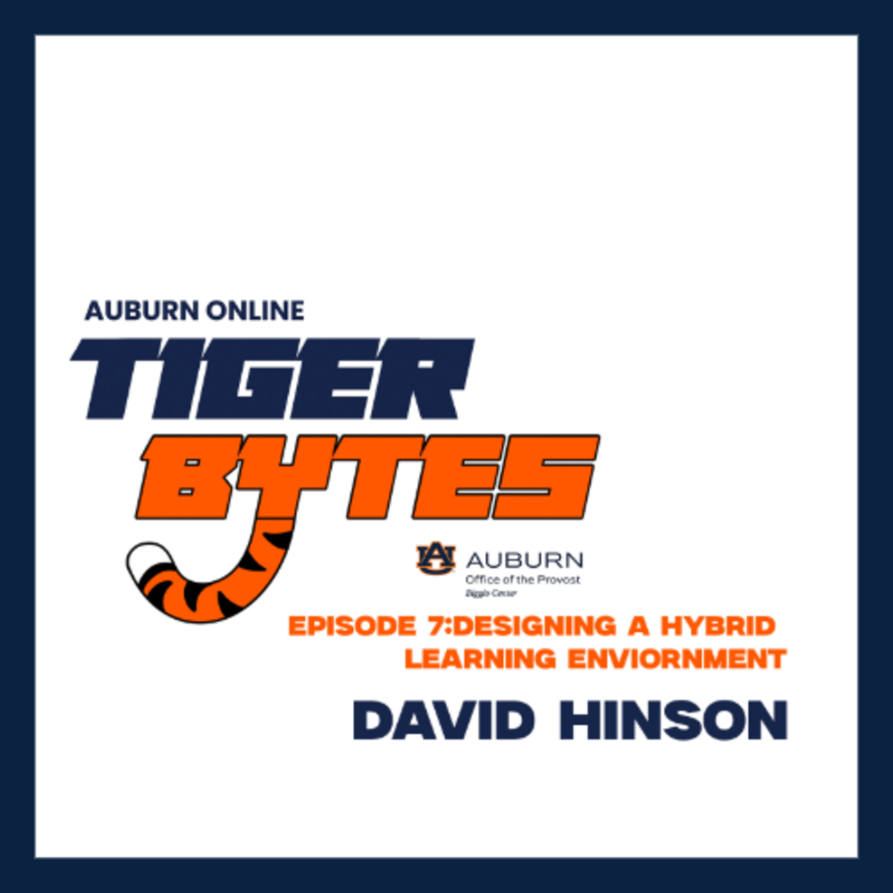 TigerBytes