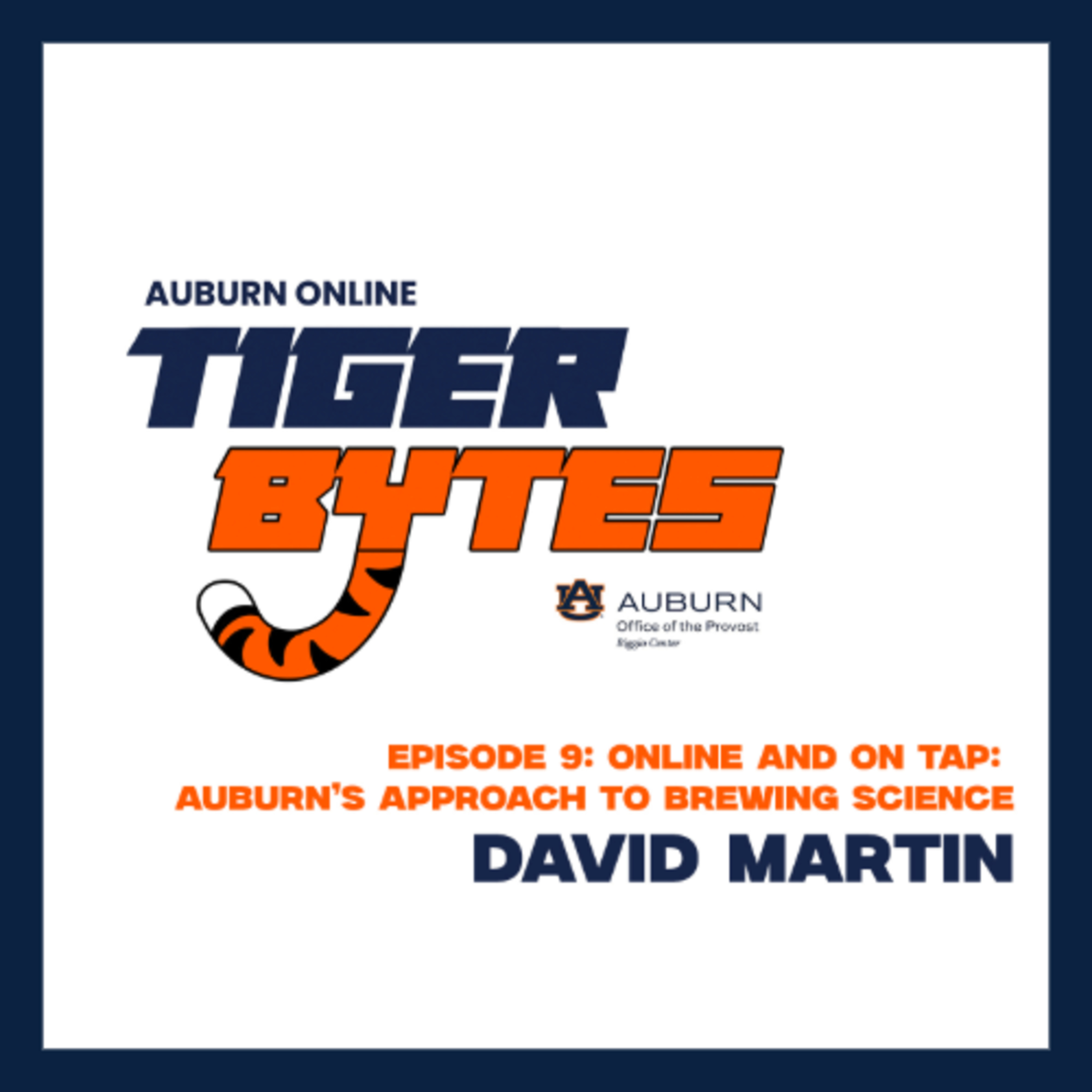 TigerBytes