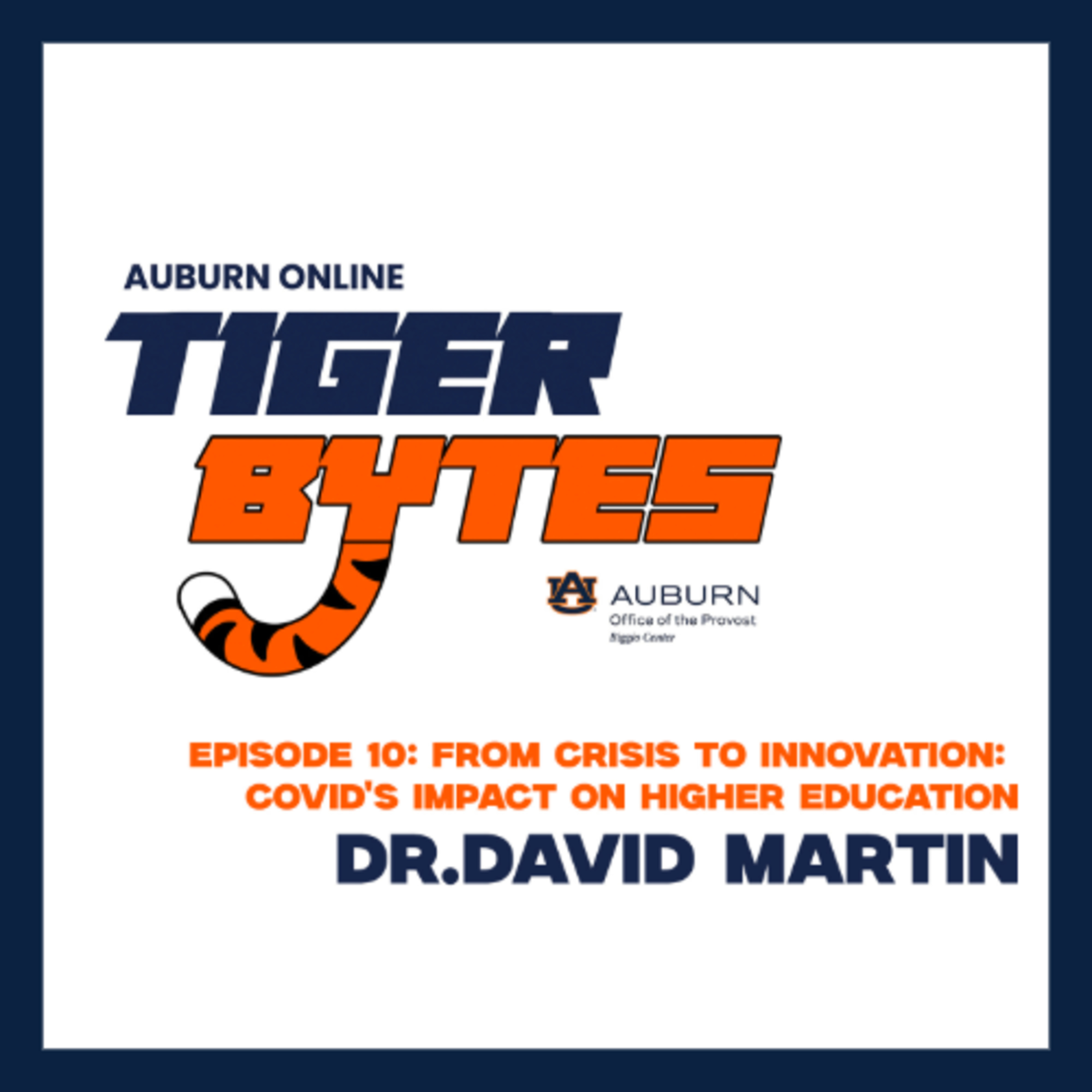 TigerBytes