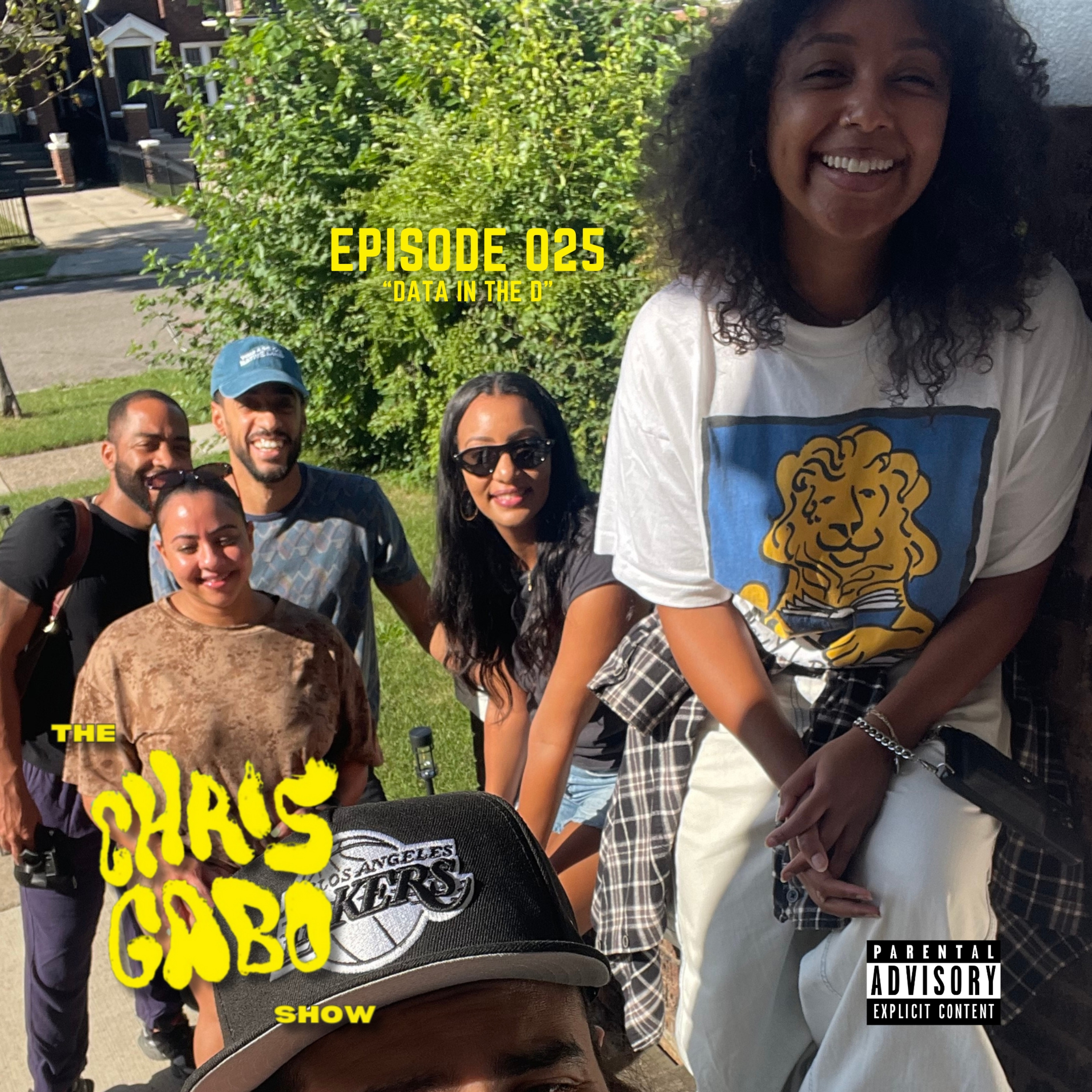 025 - Data In The D (09/07/2026) episode artwork