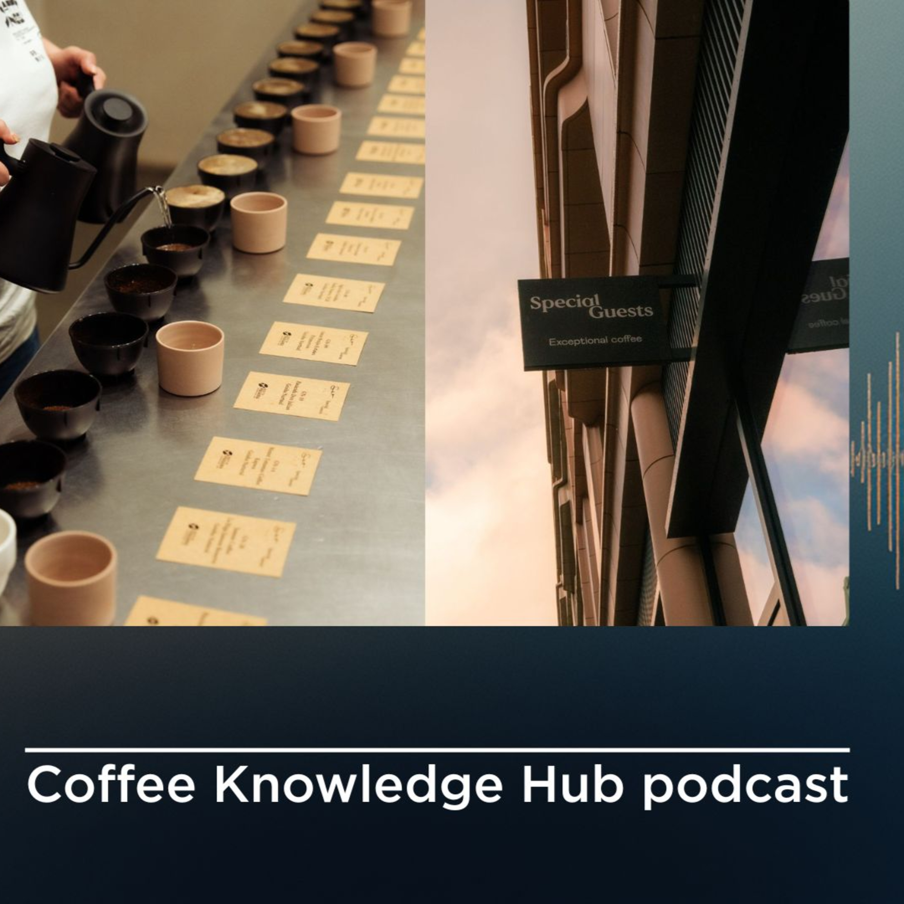 Coffee Knowledge Hub