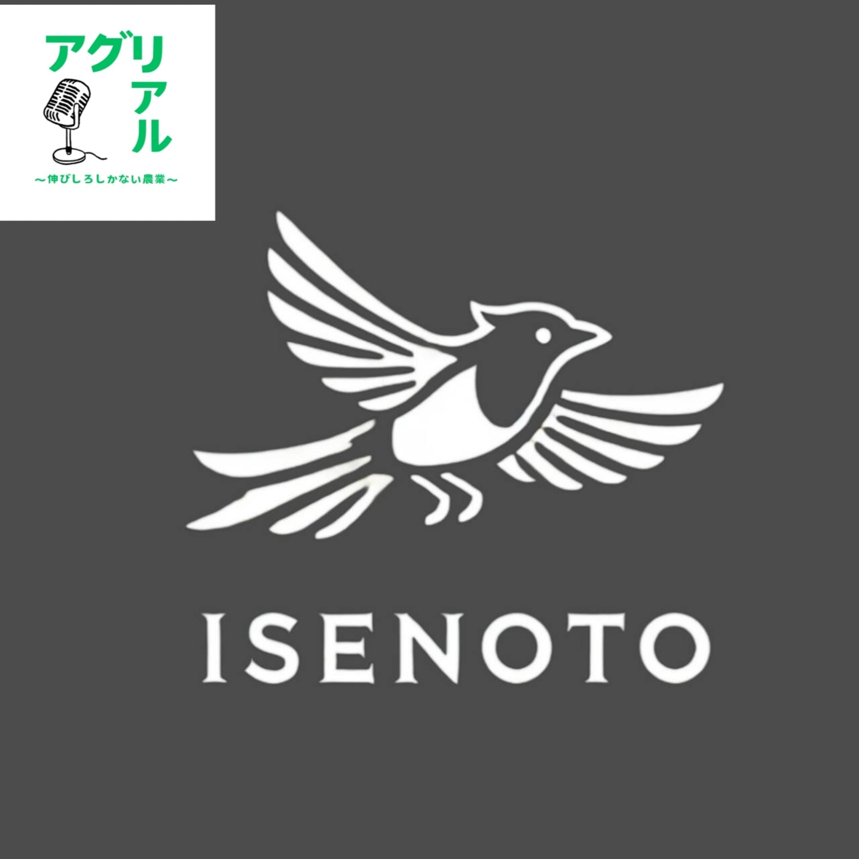 第11回　『いせのうと』 episode artwork