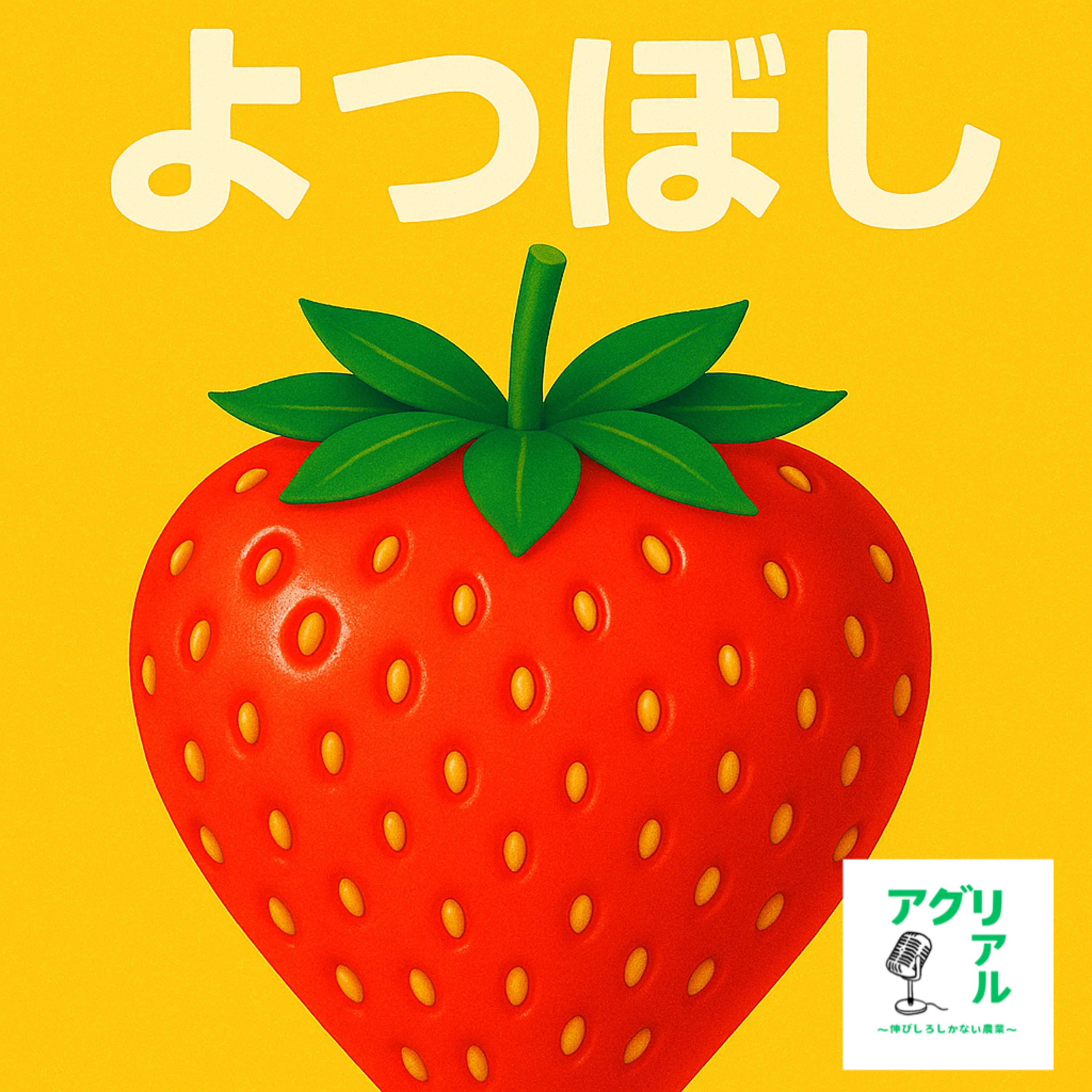 第41回　よつぼし　の魅力