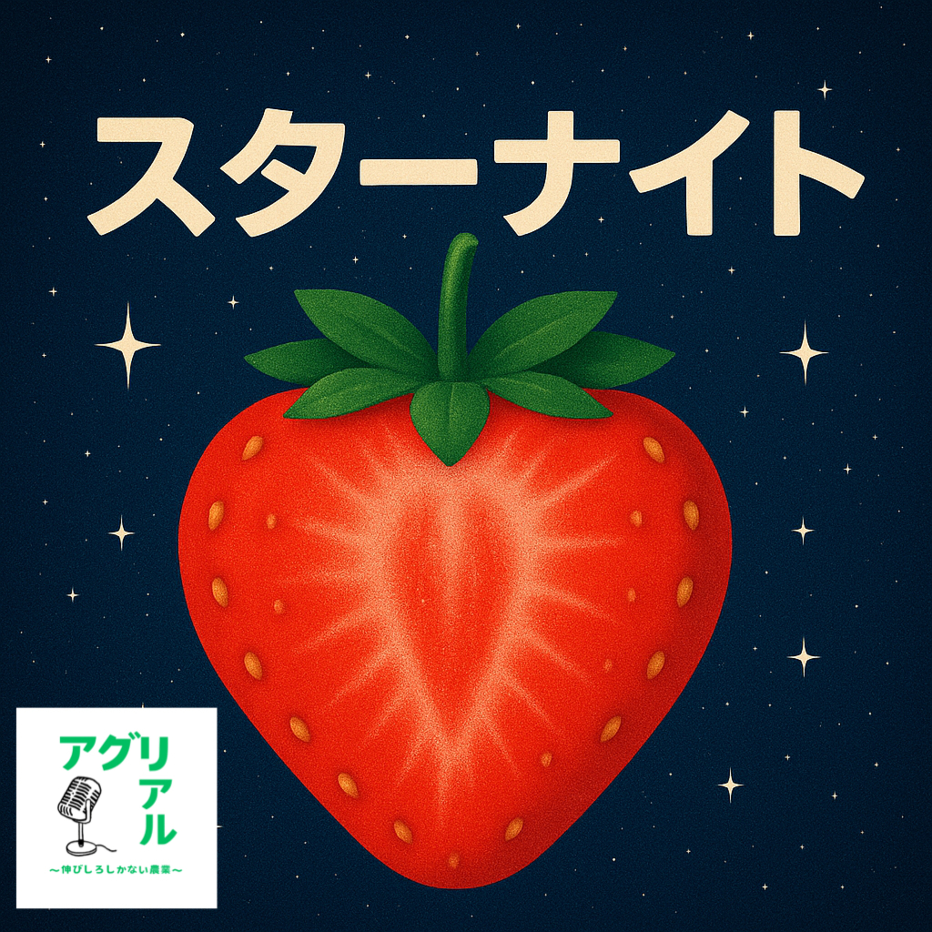 第45回　スターナイト　の魅力 episode artwork