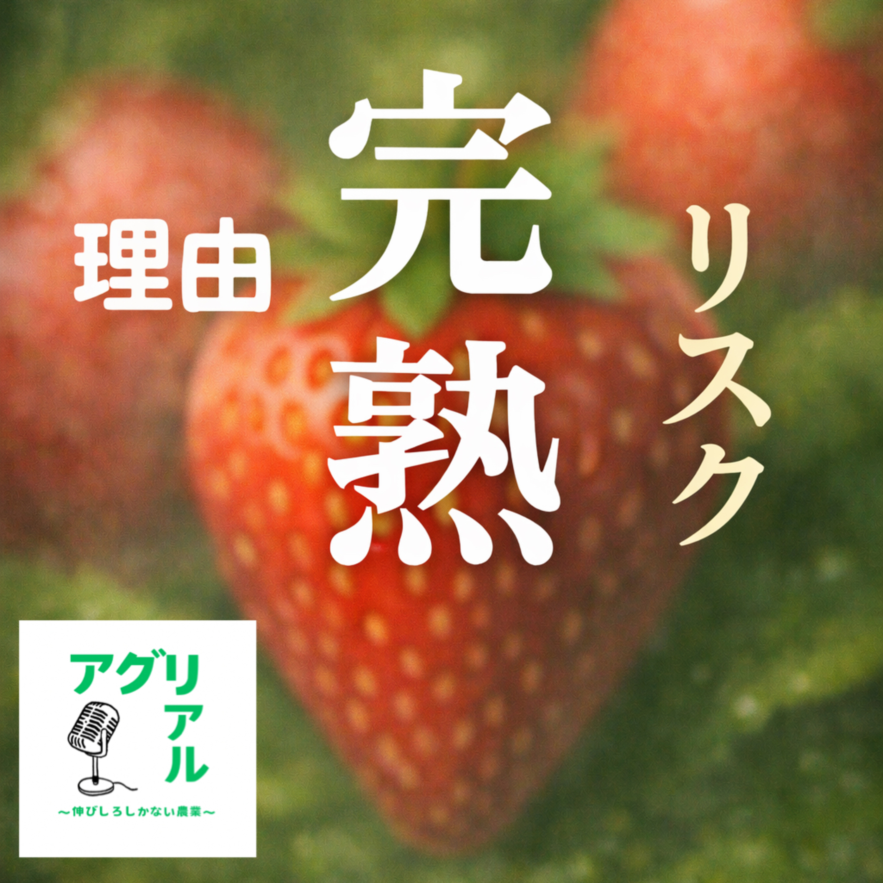 第55回 完熟で収穫する理由とリスク