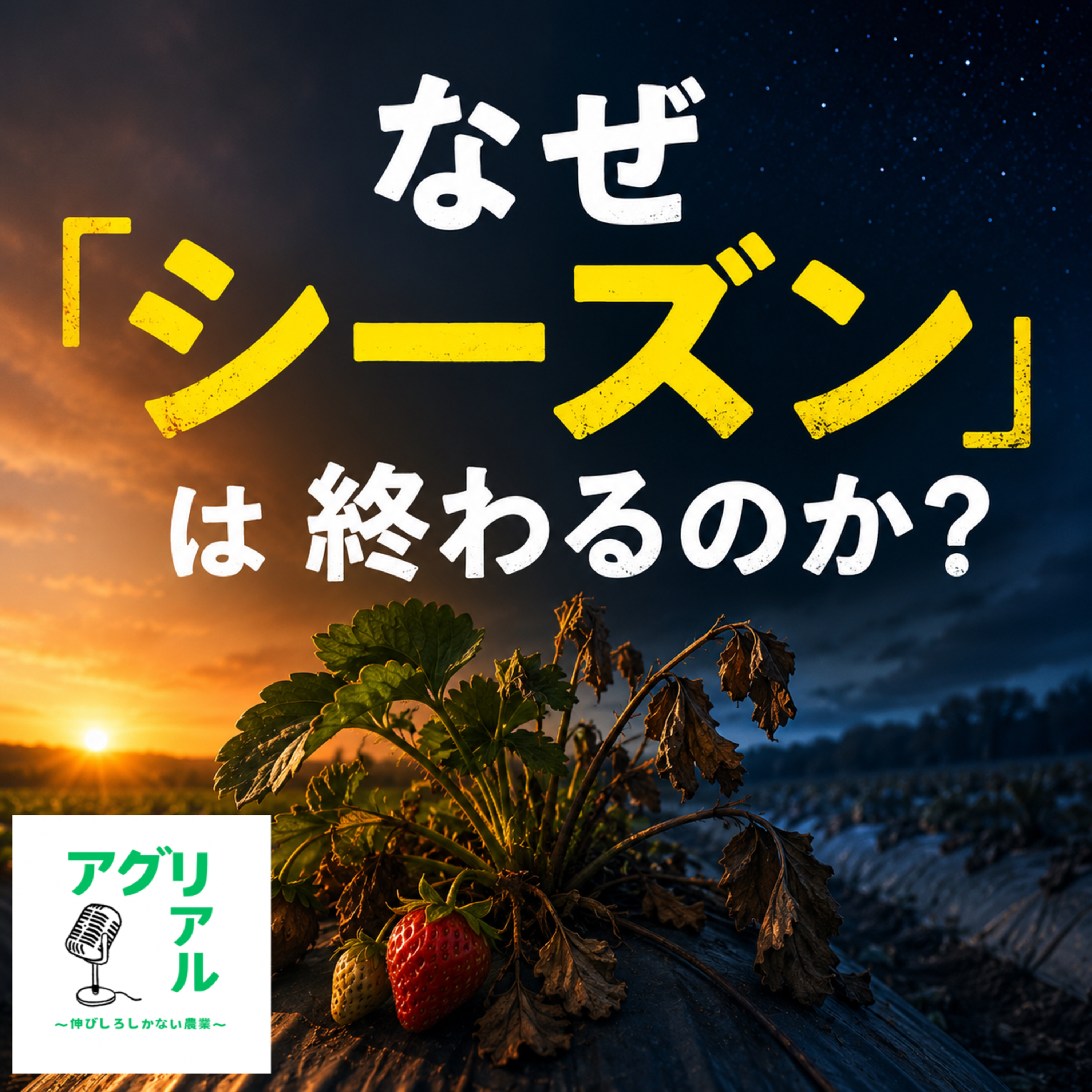 第70回　なぜ「シーズン」は終わるのか？ episode artwork
