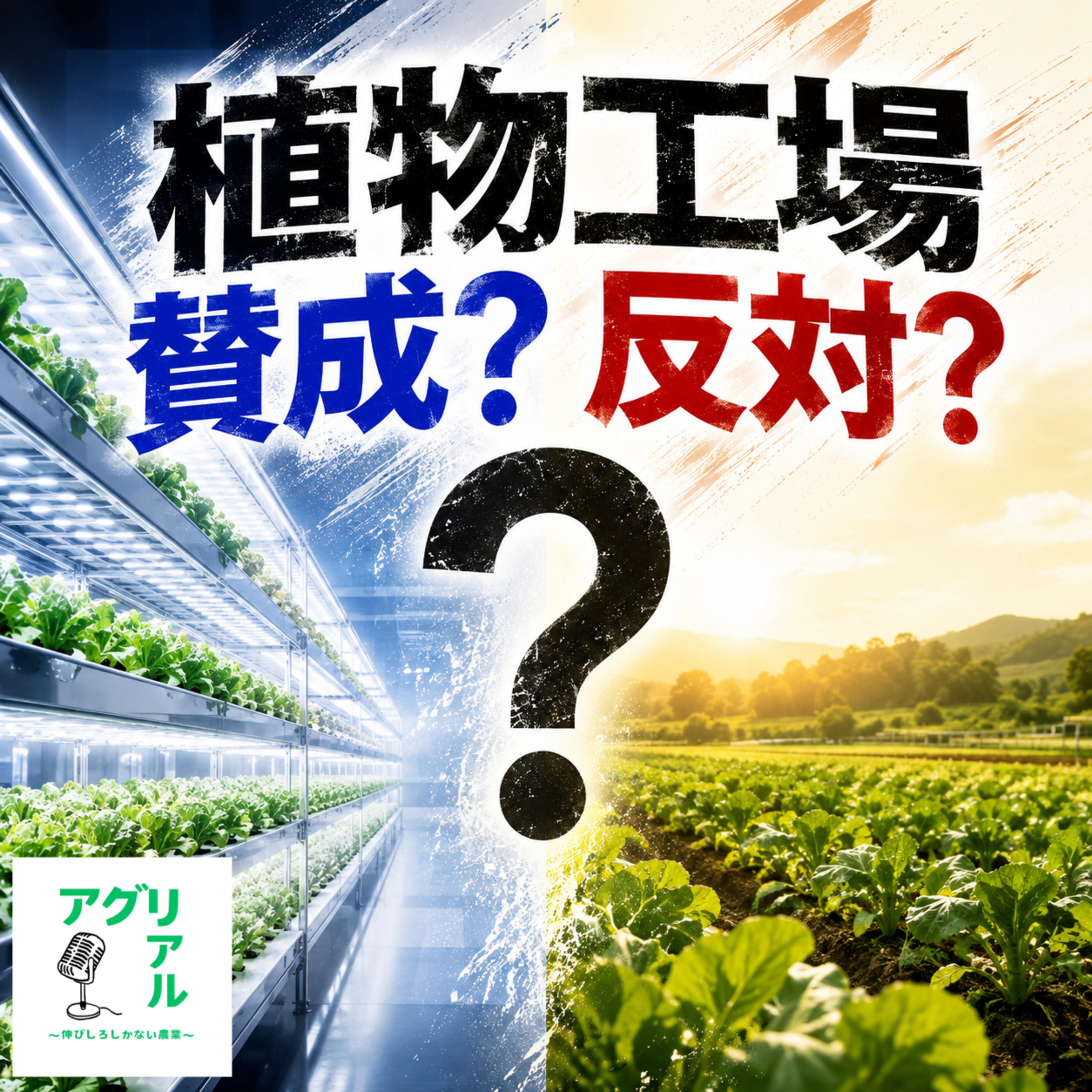 第77回　植物工場　賛成？反対？ episode artwork
