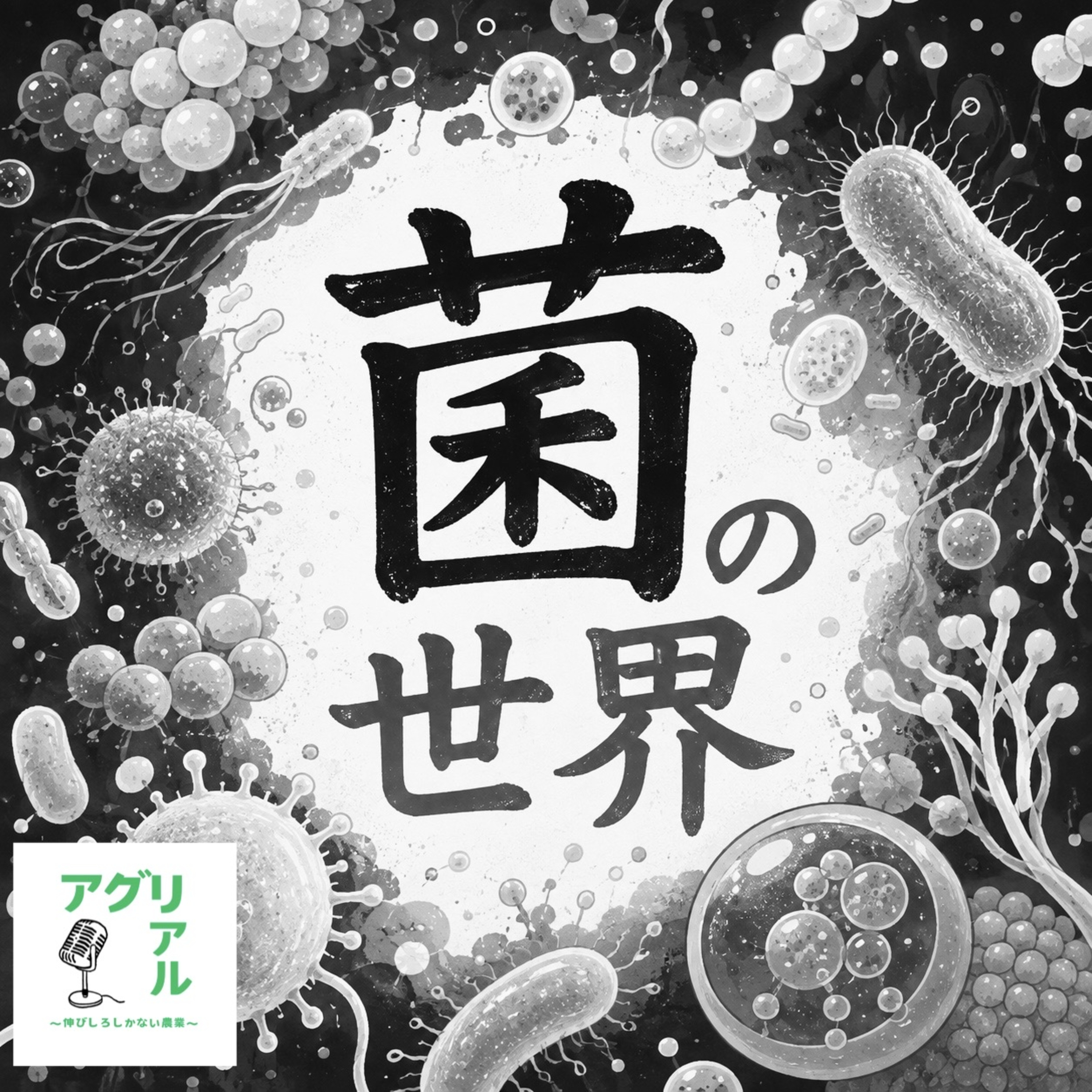 第78回　「菌」の世界 episode artwork