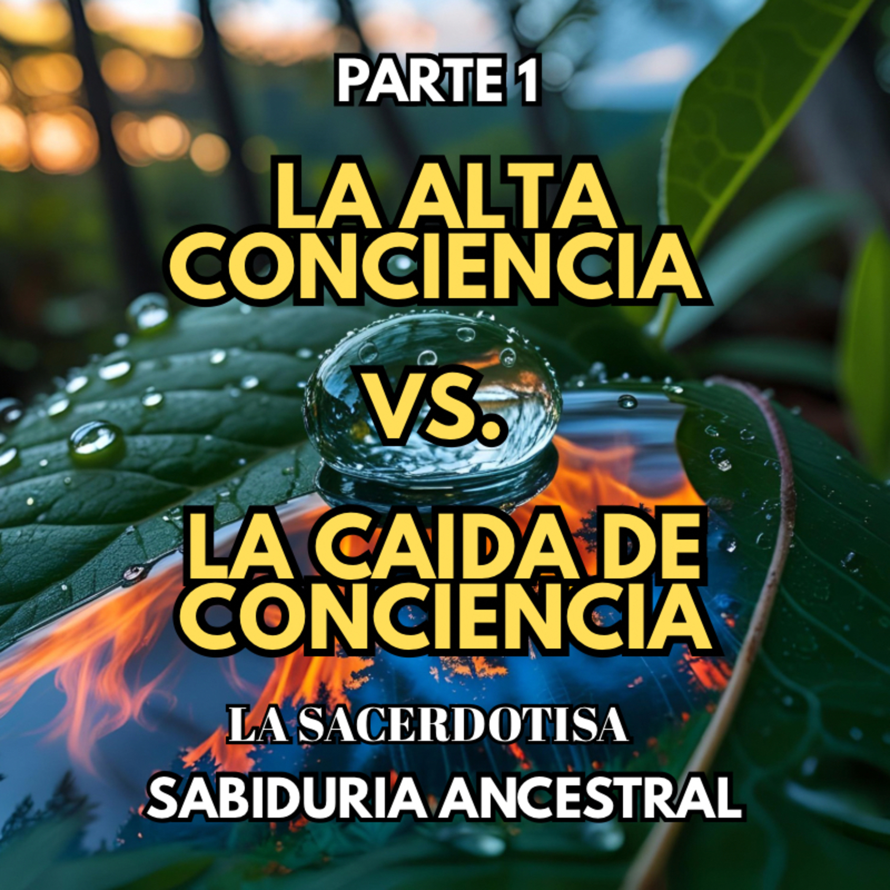 Como se comportan la energia masculina y femenina cuando estan en la ALTA CONCIENCIA episode artwork