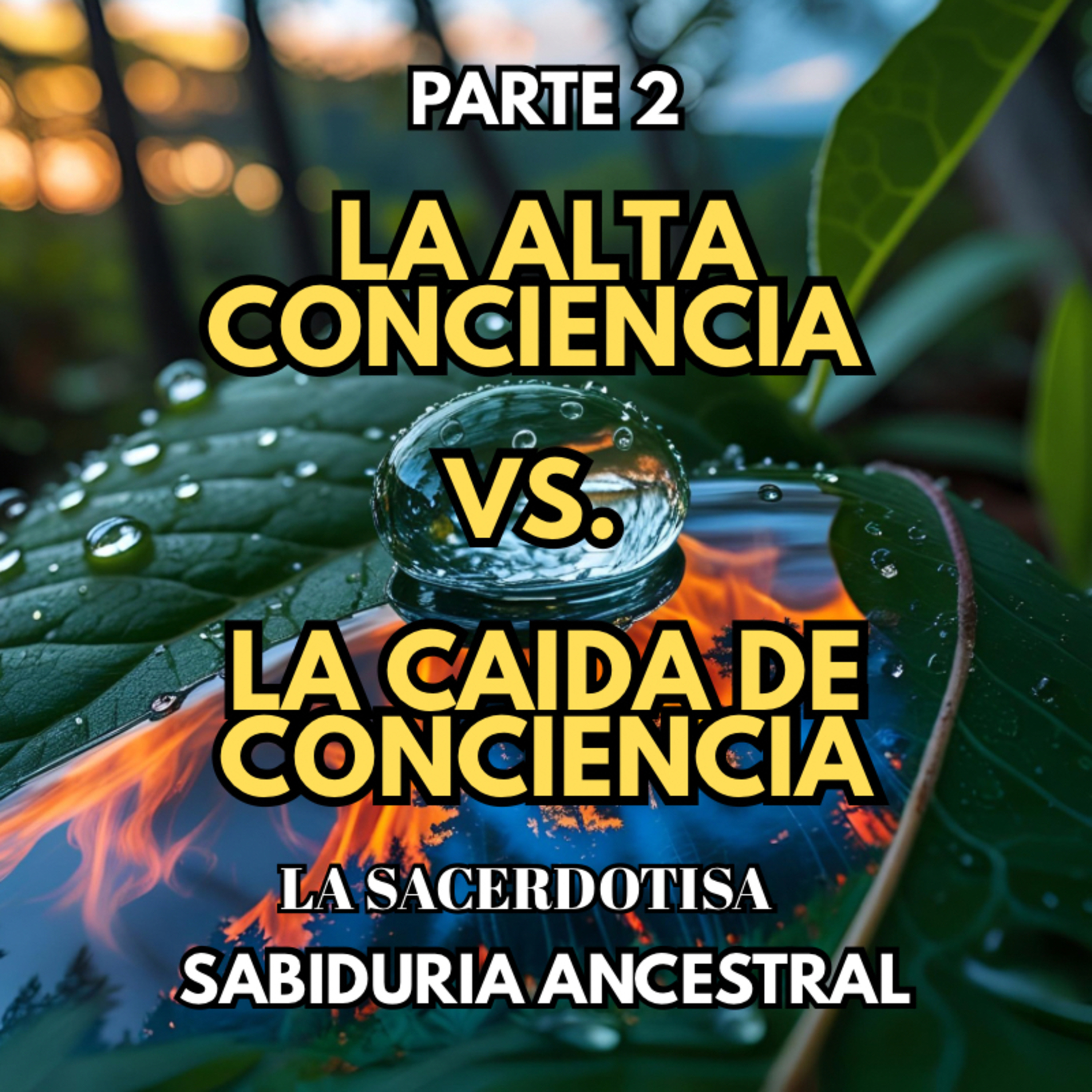Como se comportan la energia masculina y femenina cuando estan en CAIDA DE CONCIENCIA episode artwork