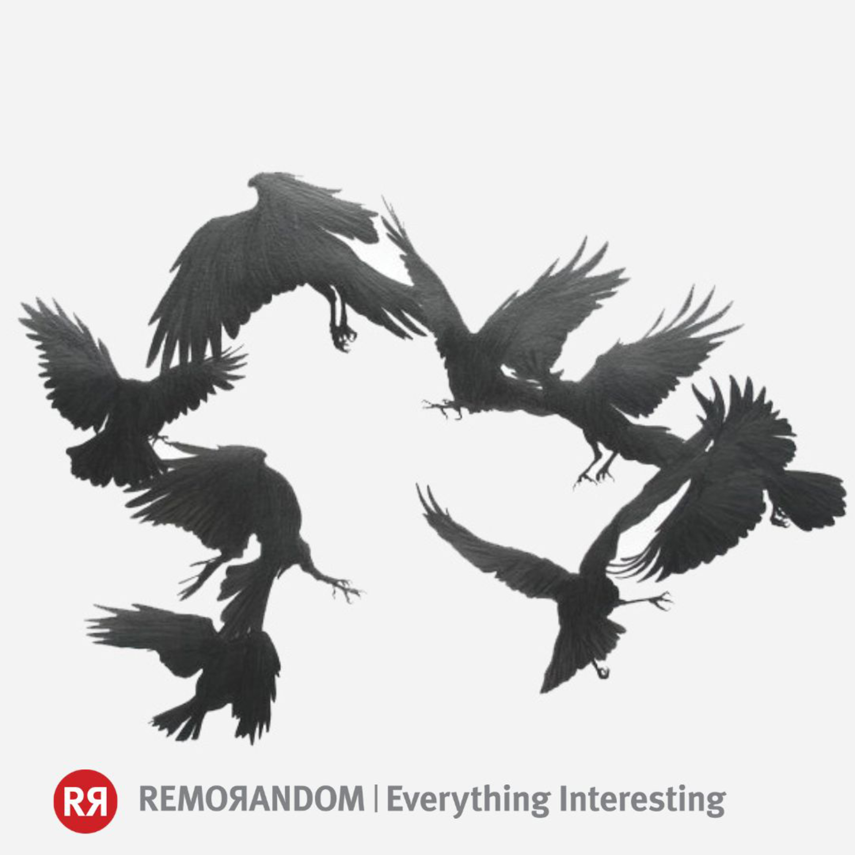 REMORANDOM Readings