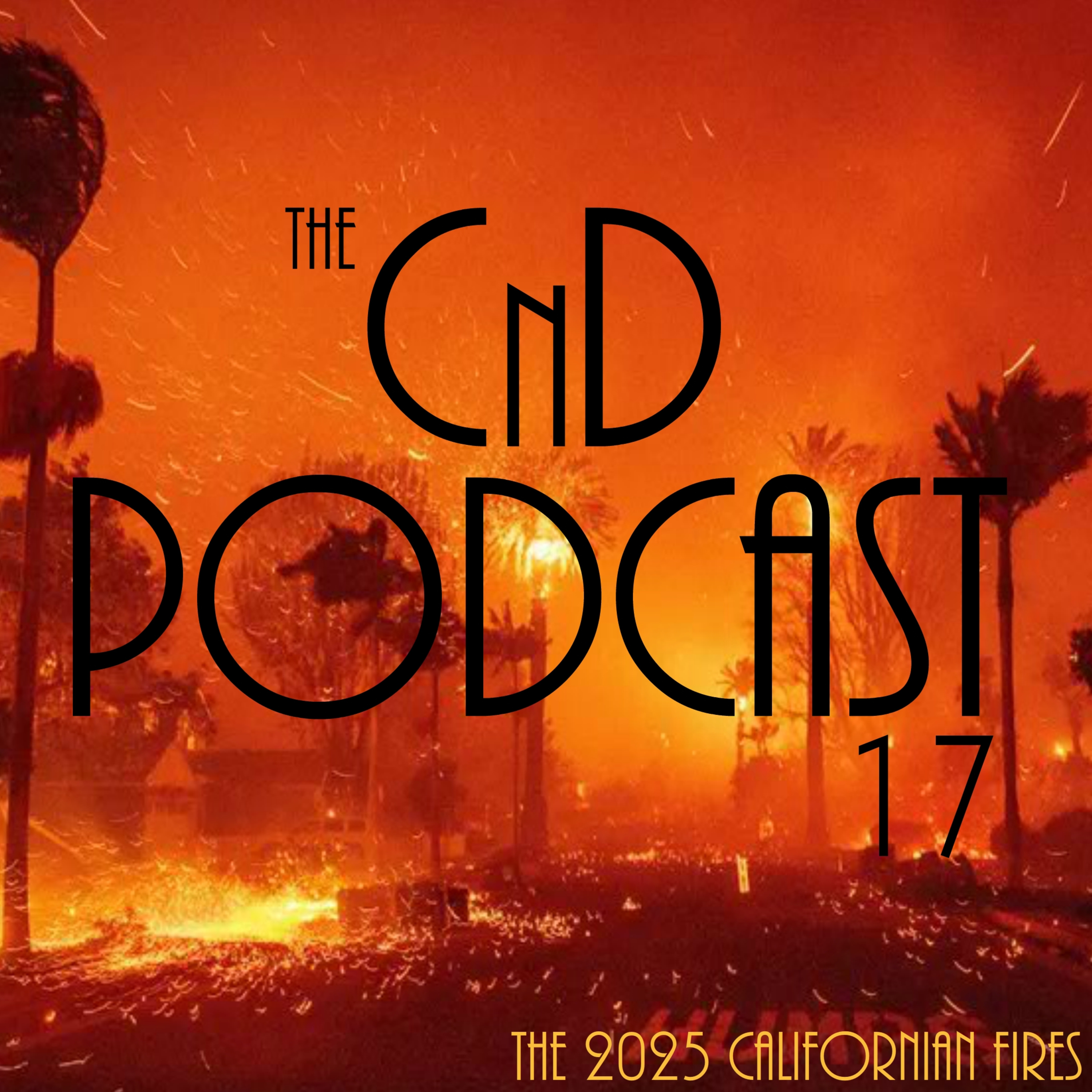 17 - The 2025 Californian Fires