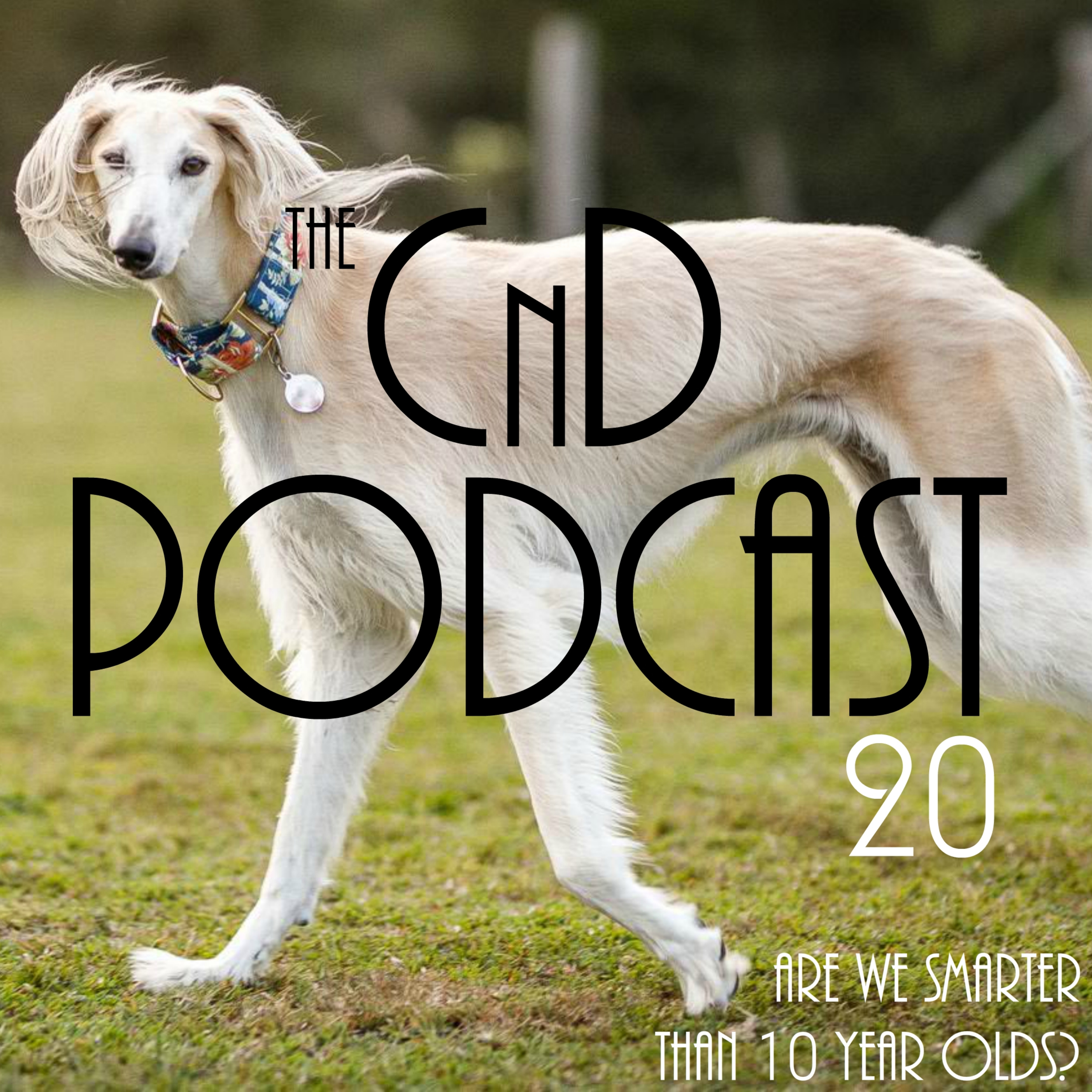 20 - Are We Smarter Than 10 Year Olds?