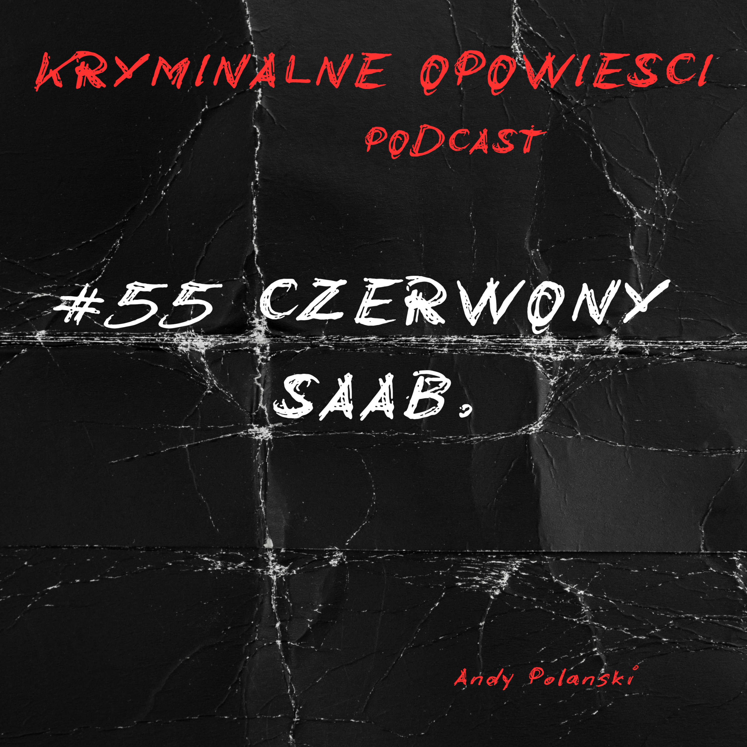 55. Sprawa Pernilli Hallgren i Angeli Haugland | Szwecja