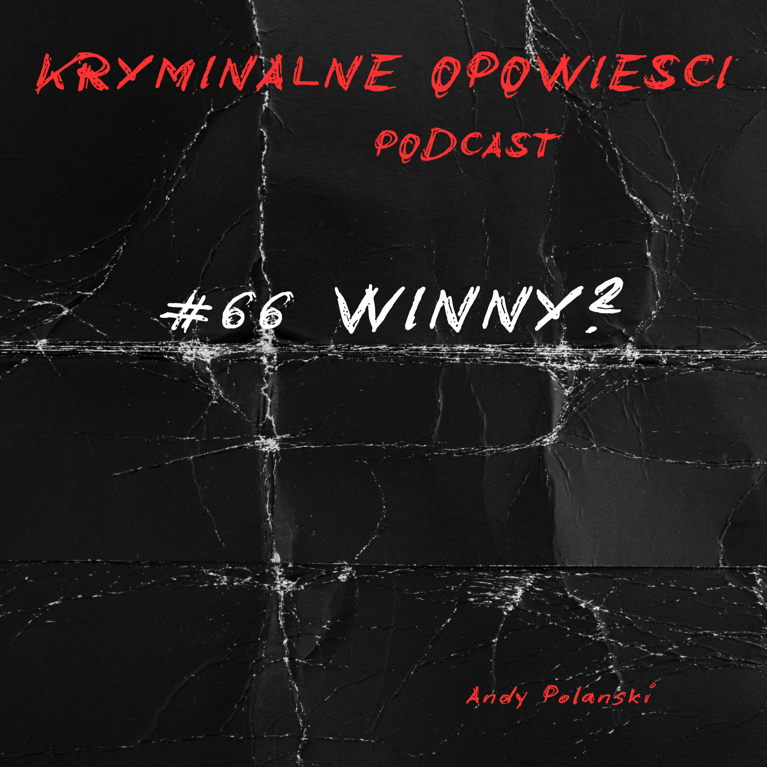 66. To on widział ich ostatni... Czy jest winny? | USA