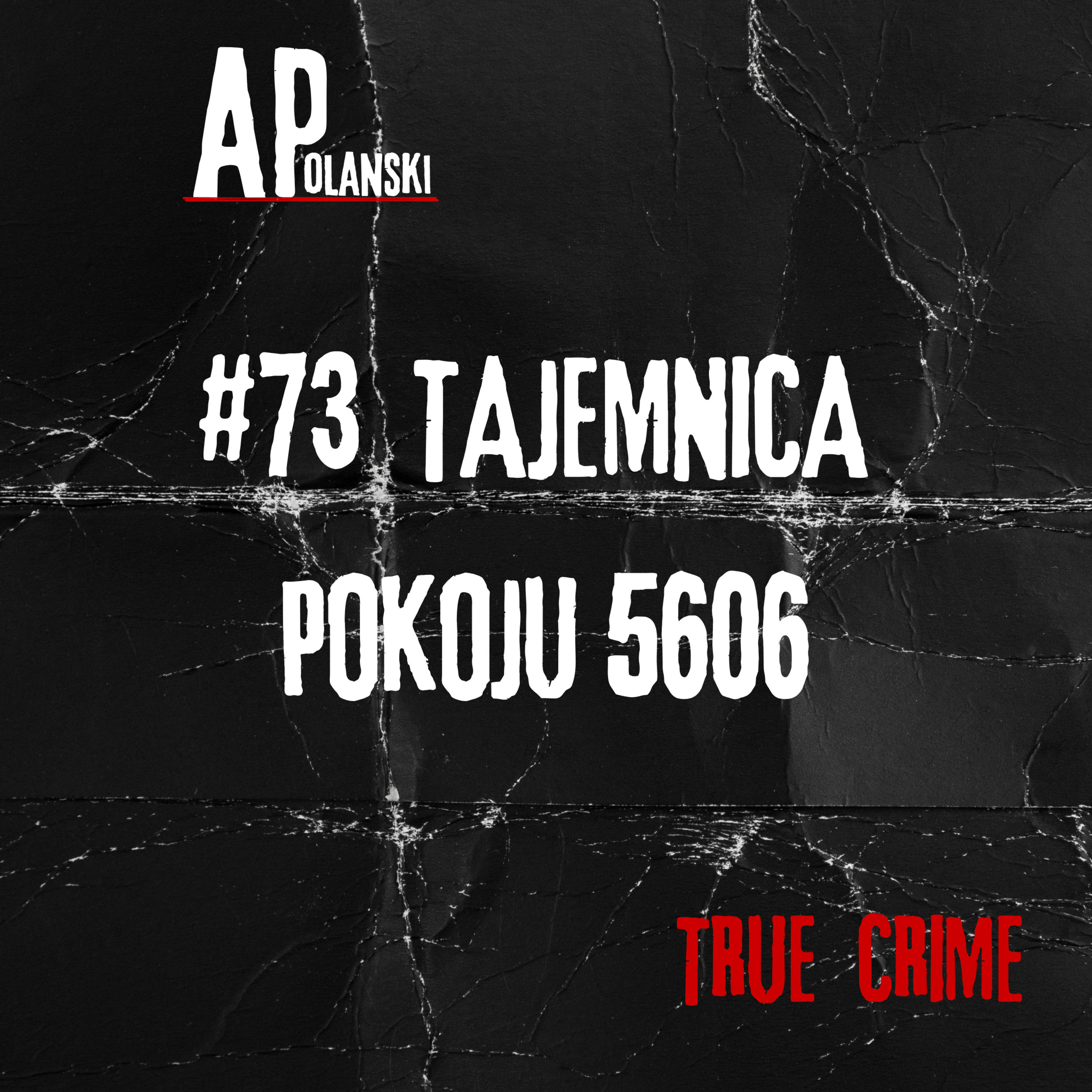 73. Tajemnicza śmierć Lowe Engströma. Kto był z nim w pokoju 5606? | Szwecja. episode artwork
