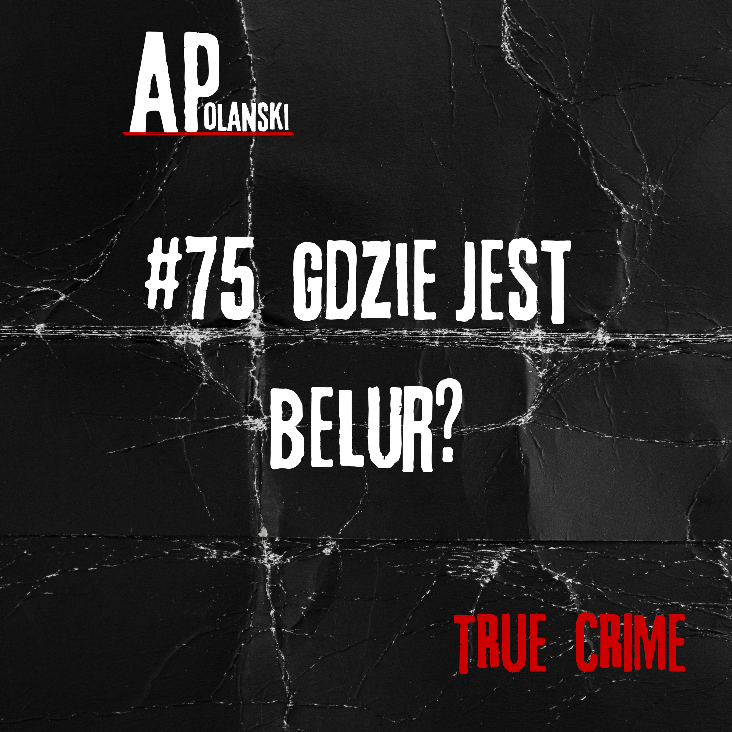 75. Belur Sardar przepadła bez śladu. Tajemnica matki czworga dzieci | Norwegia. episode artwork
