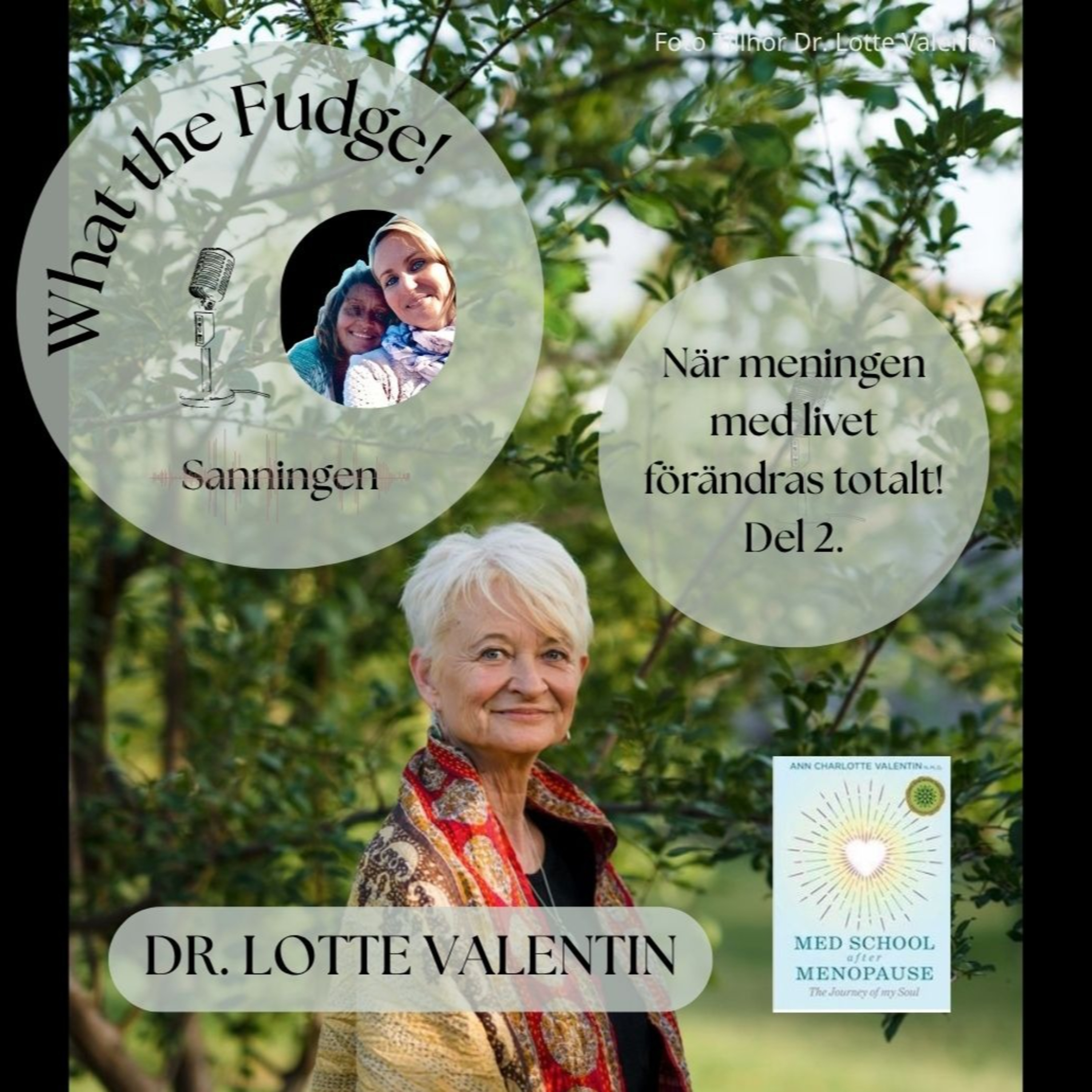 What the Fudge - Sanningen