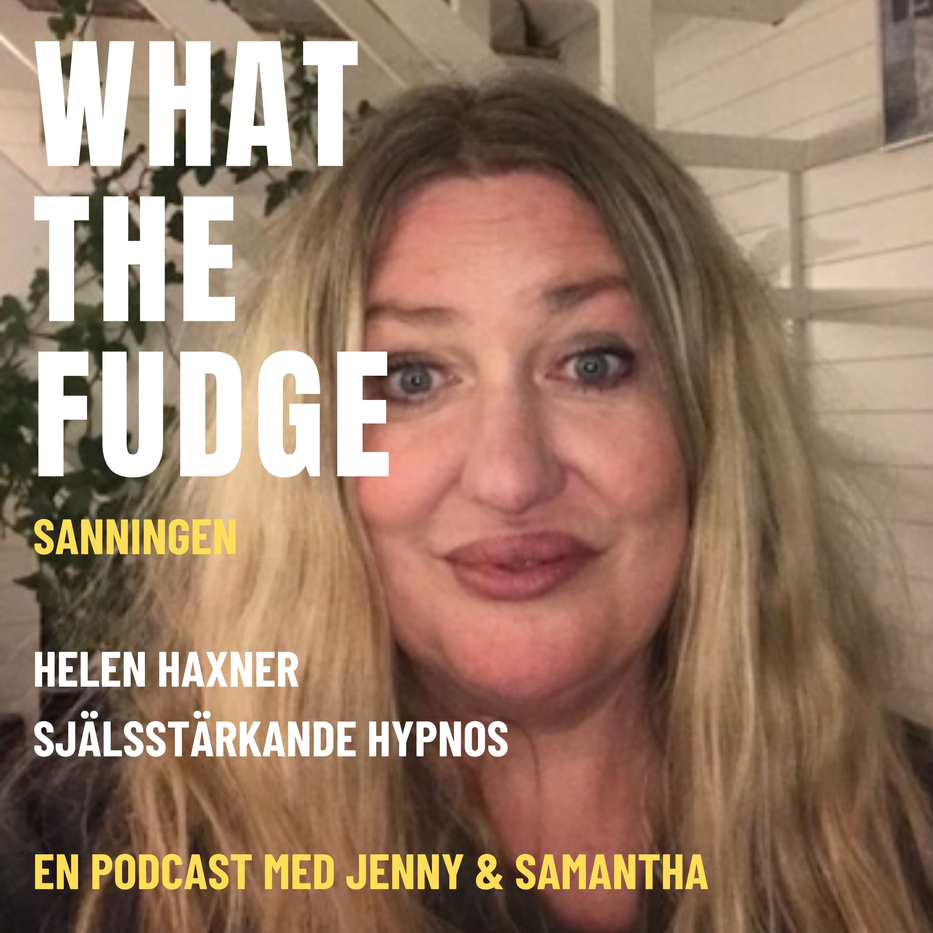 What the Fudge - Sanningen