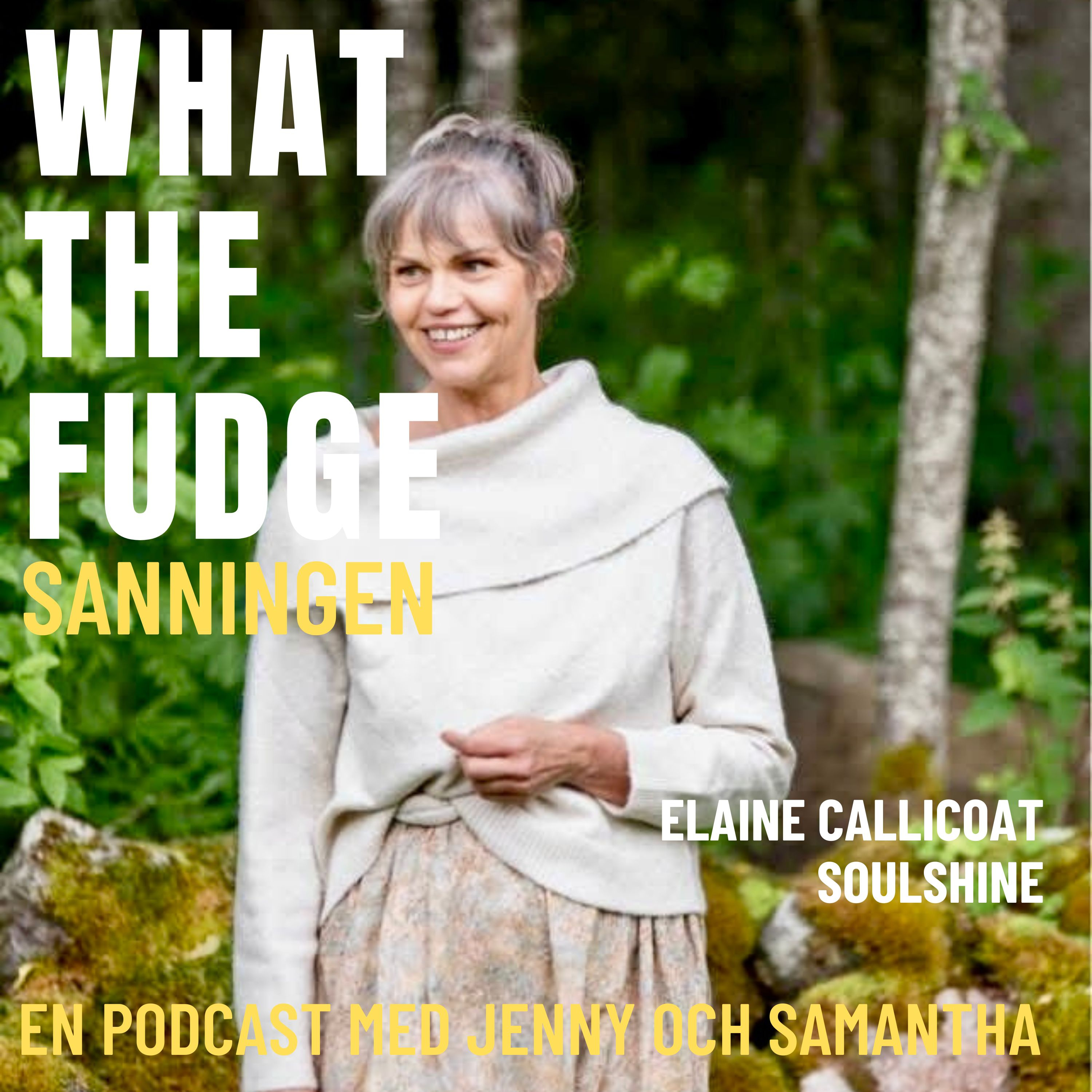 What the Fudge - Sanningen