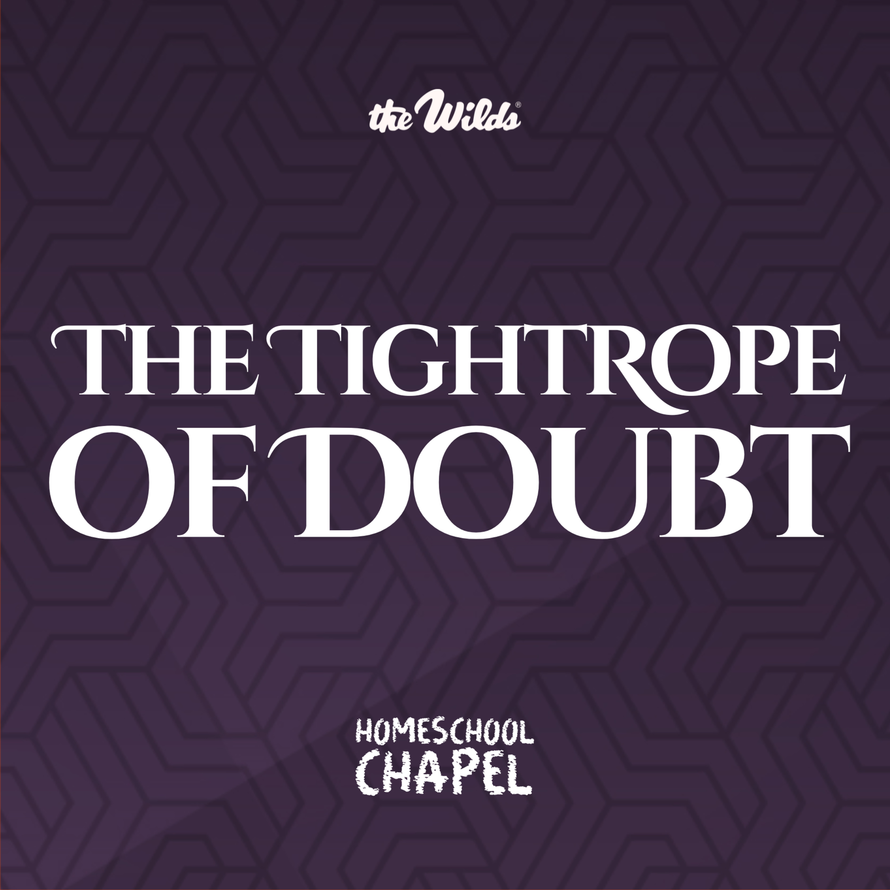 🚶🌋The Tightrope of Doubt😬 episode artwork