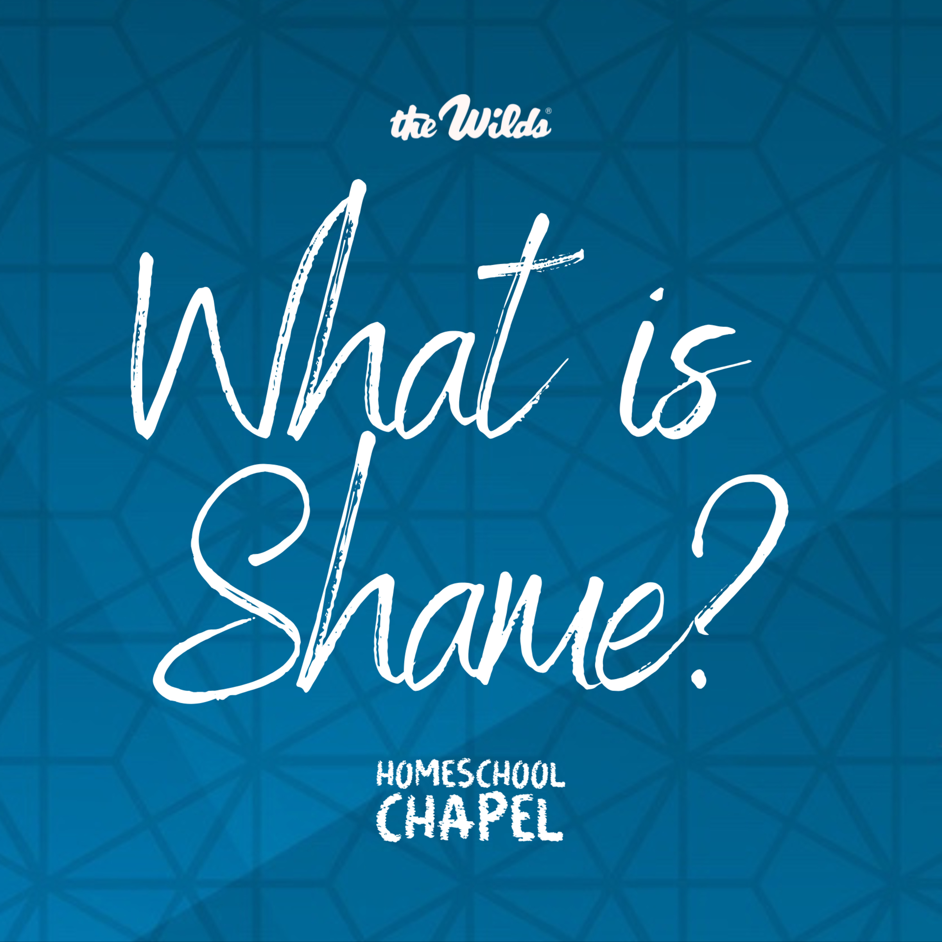 ❓What is Shame?🥺 episode artwork