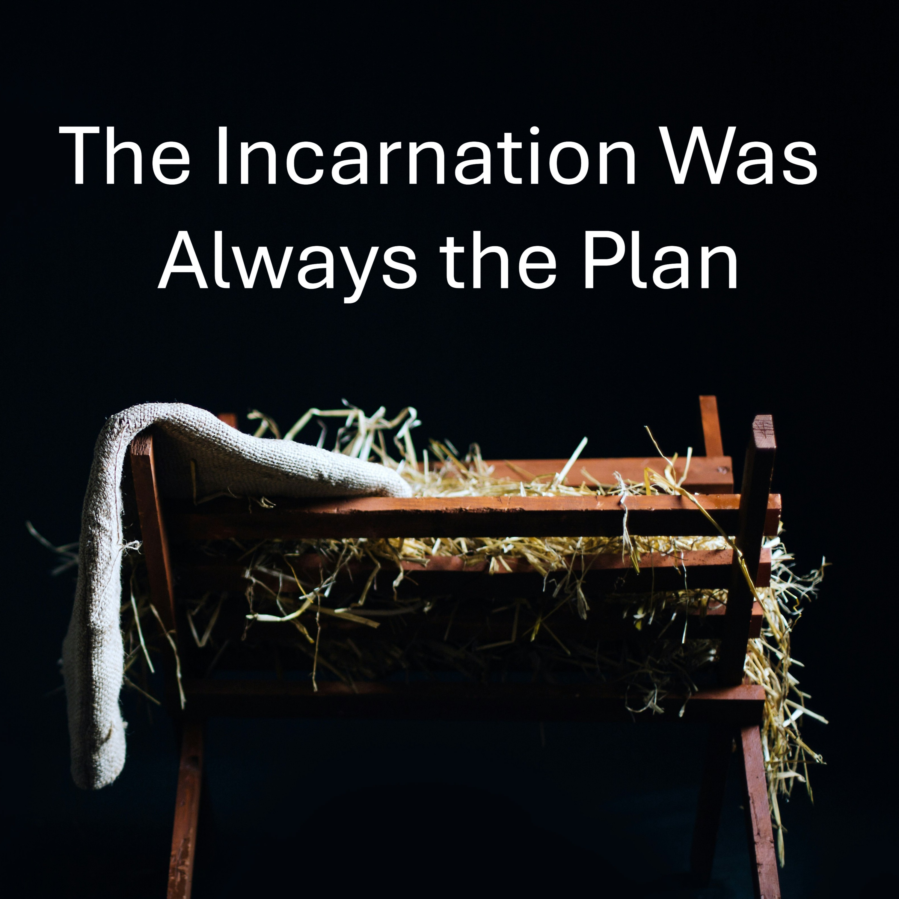 The Incarnation Was Always the Plan