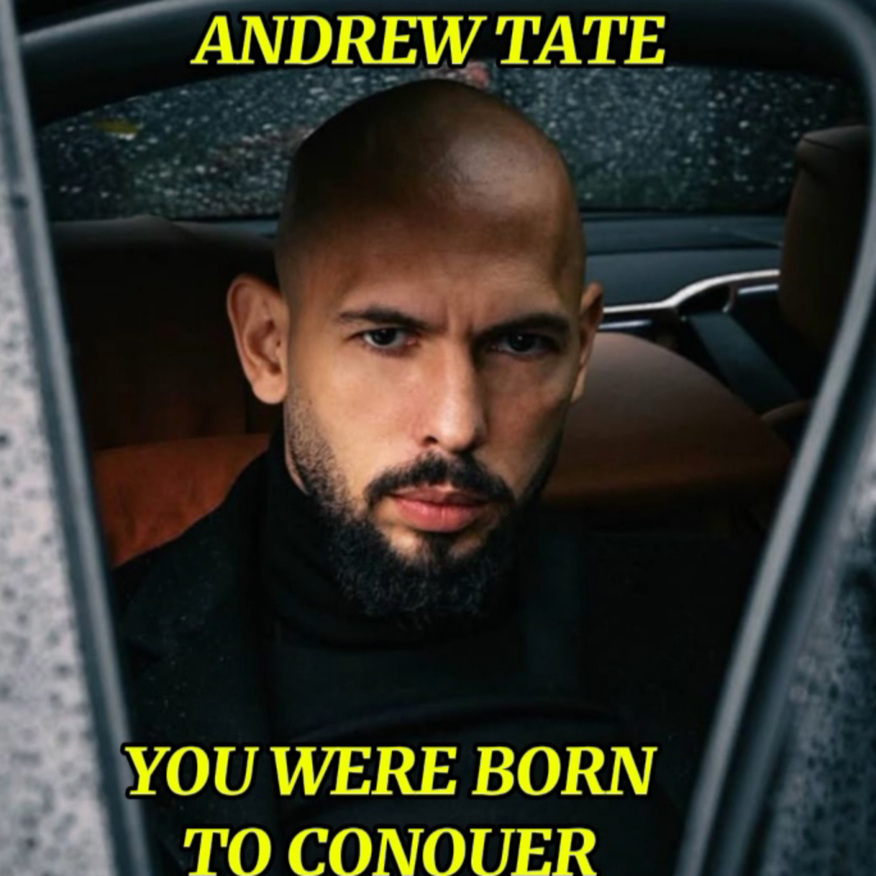 You Were Born To Conquer