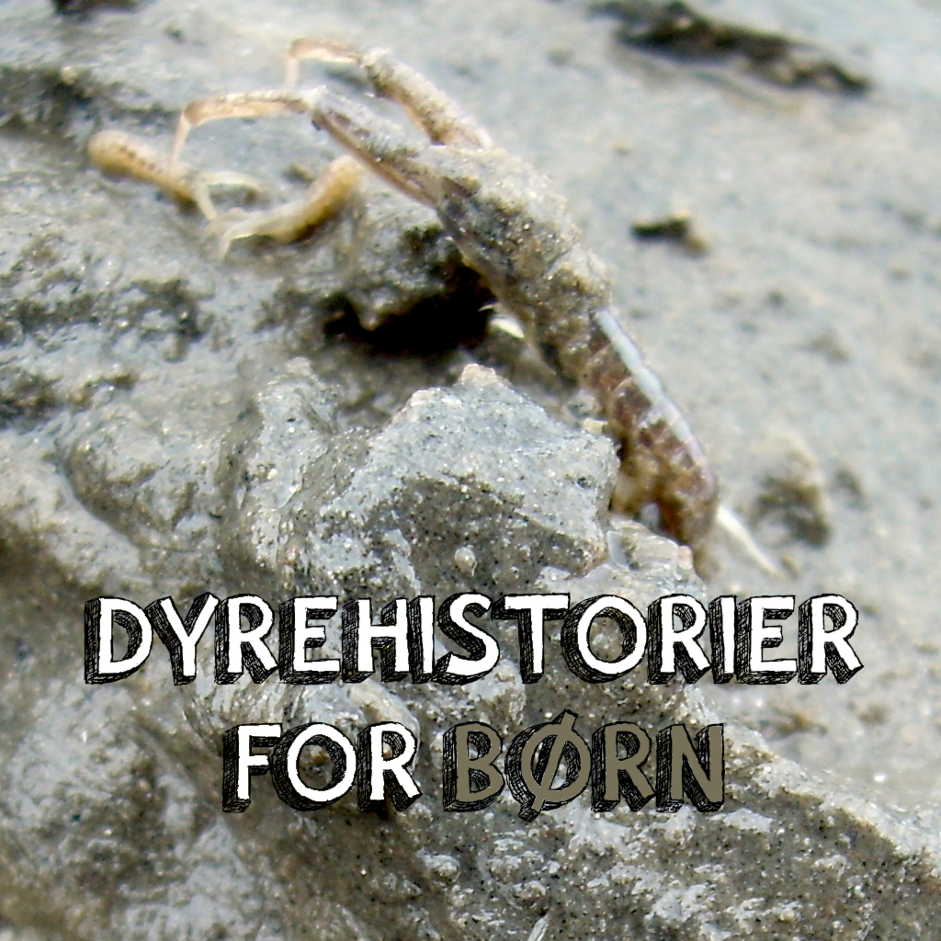 Dyrehistorier for børn