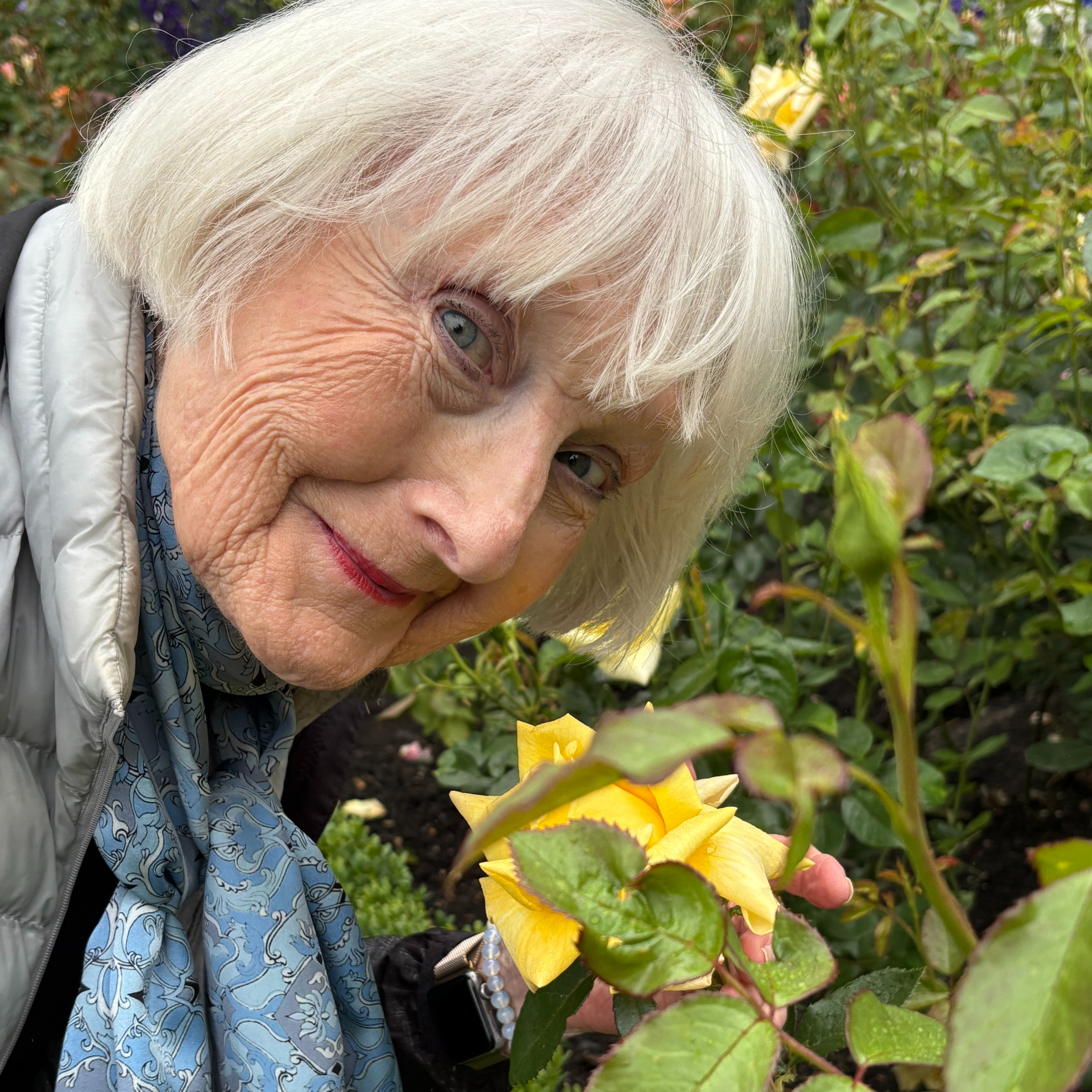 Bold Beginnings with Sheida