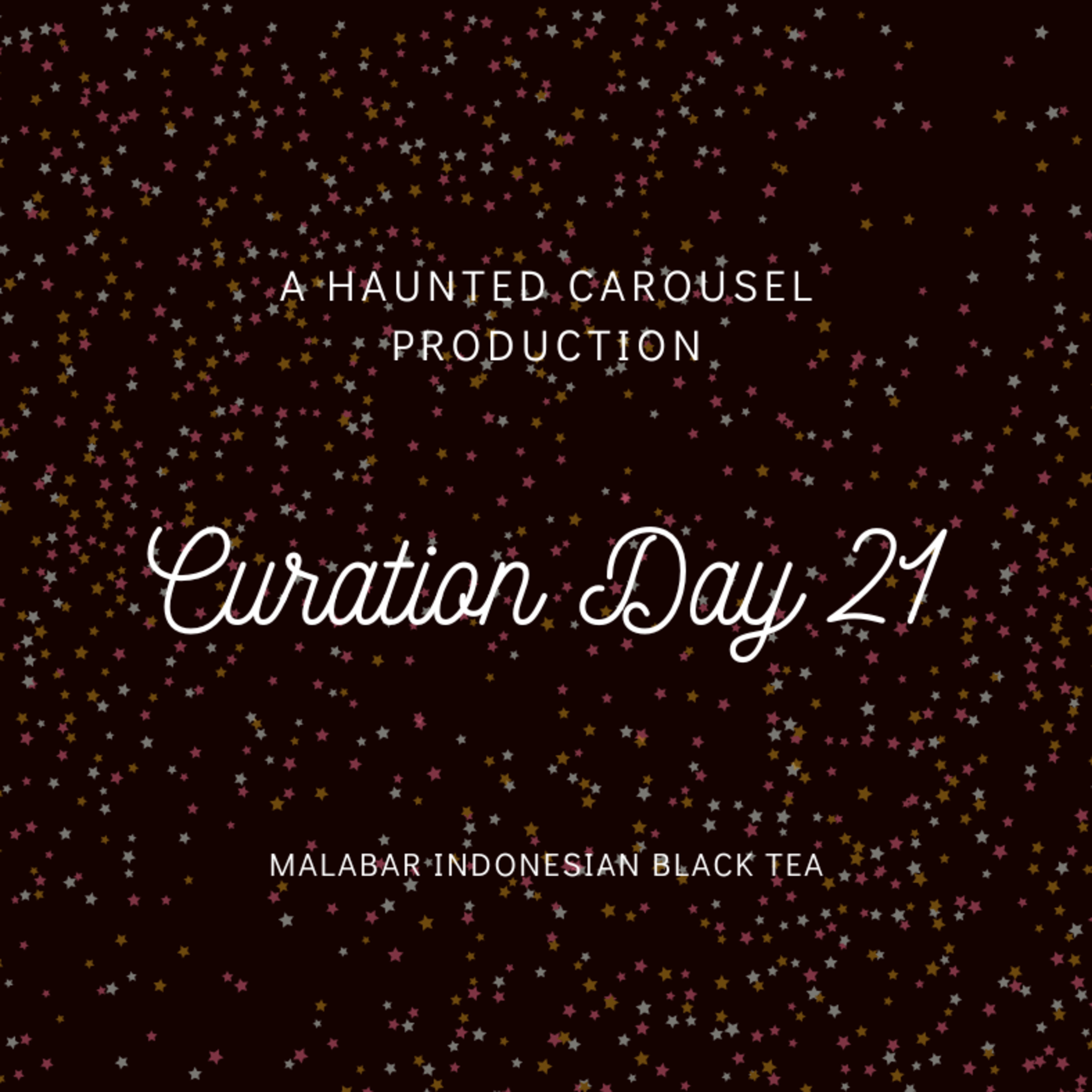 Curation Day 21-Malabar Indonesian Black Tea episode artwork