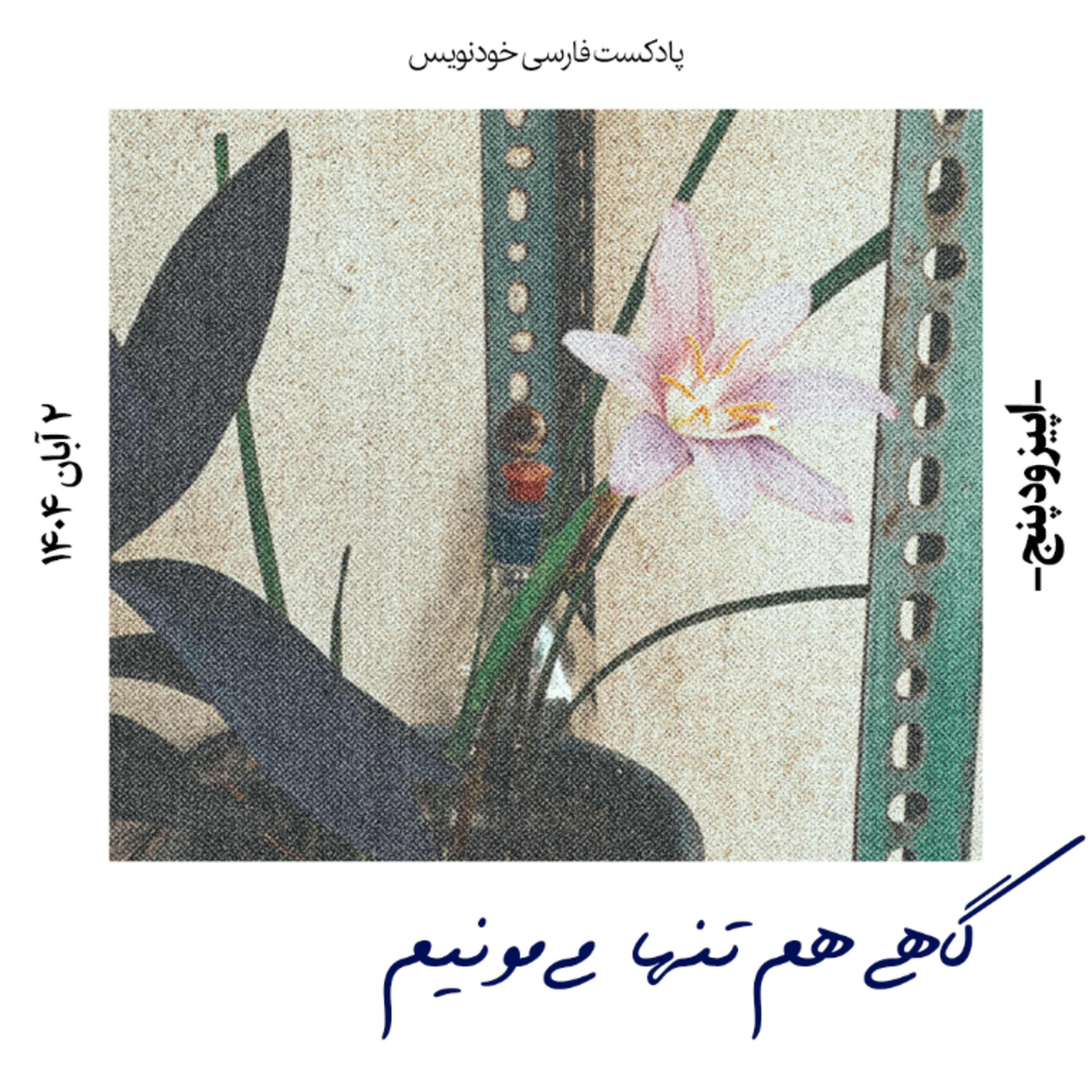 اپیزود پنج: گاهی هم تنها میمونیم