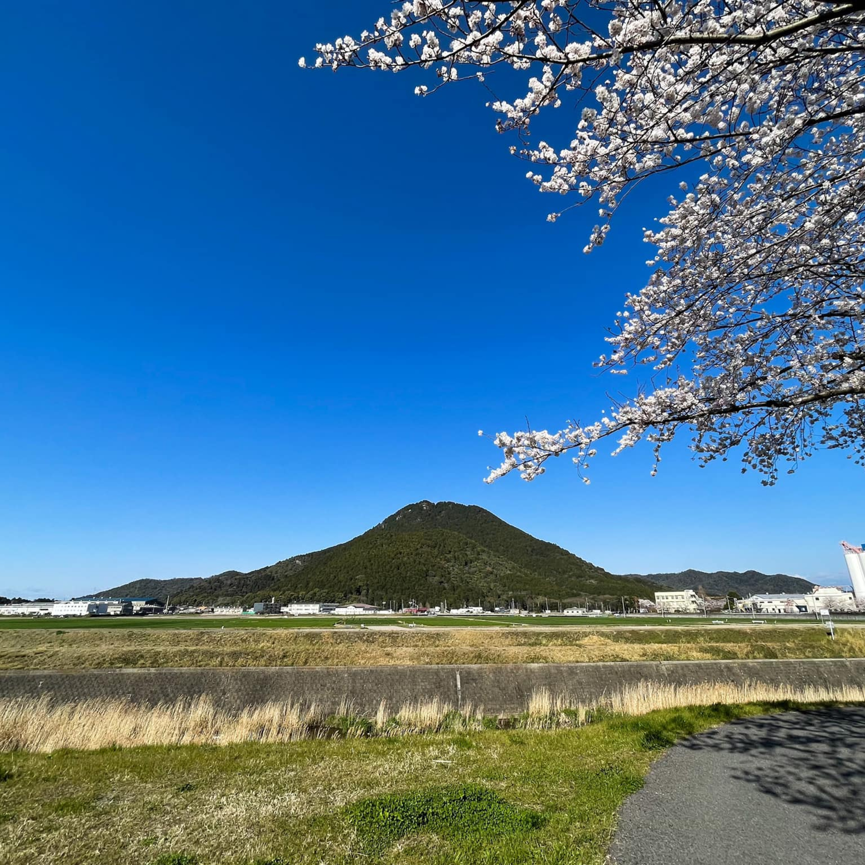 「山を降りる」楽しみが年々増えていく | (#105) episode artwork