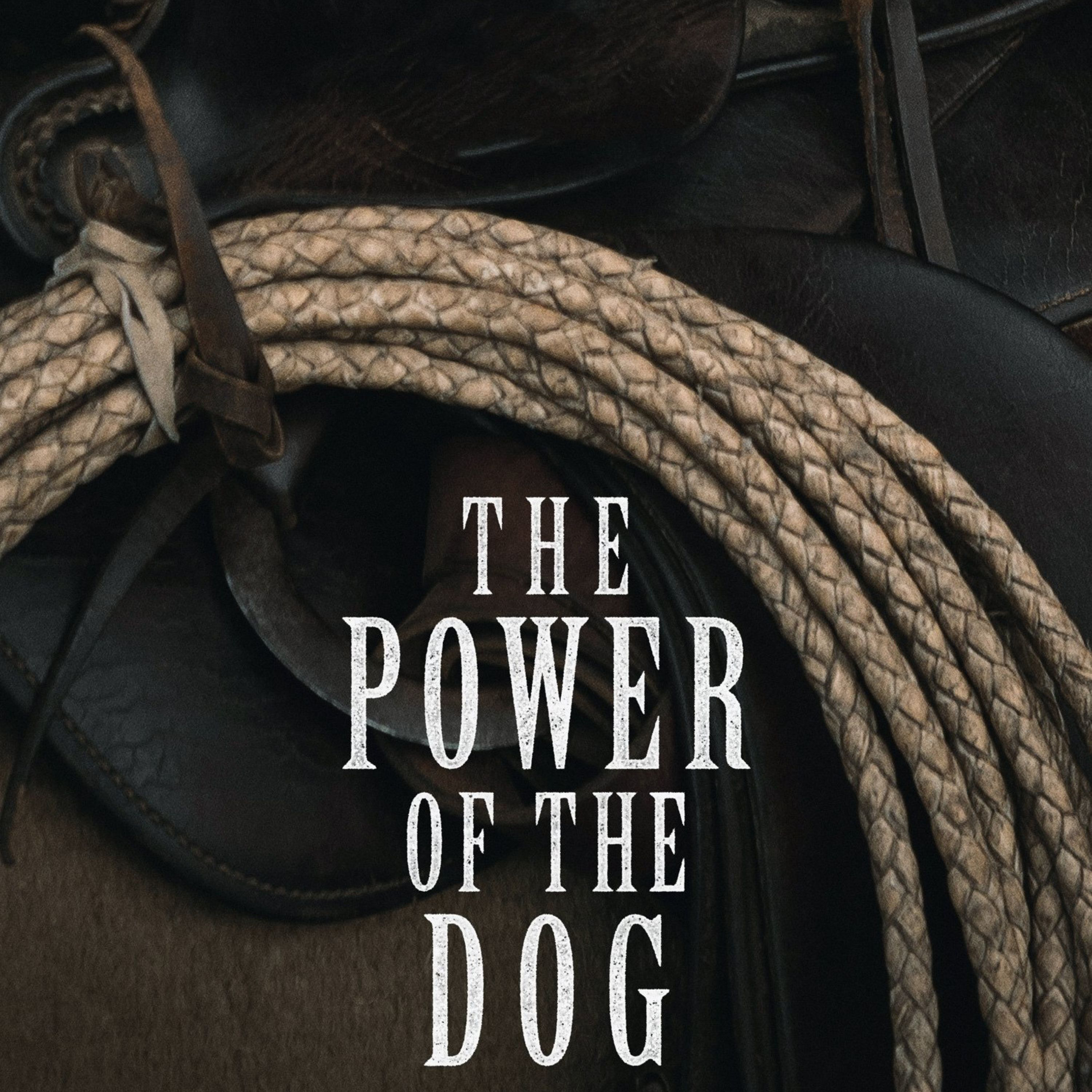 What Kind of Man? Power, Desire, and Patriarchy in The Power of the Dog episode artwork