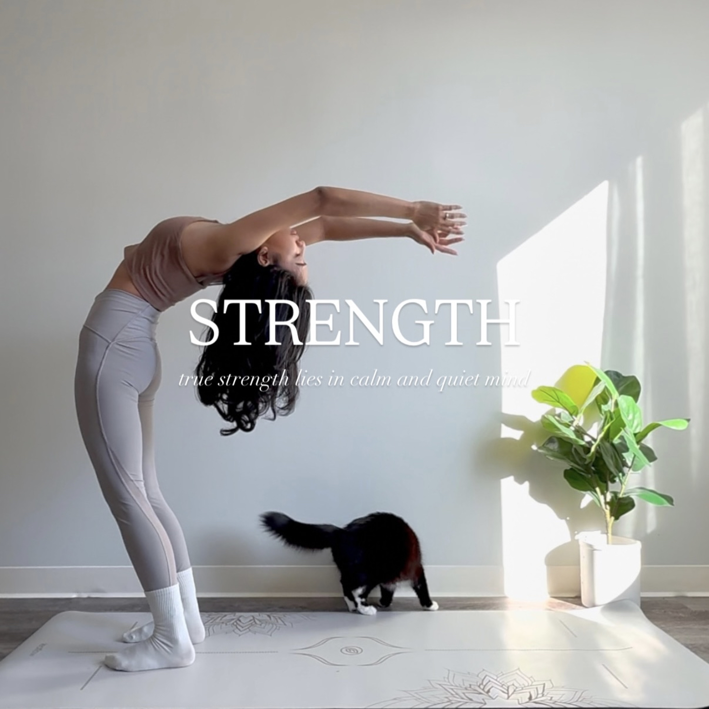 Strength in Calm episode artwork