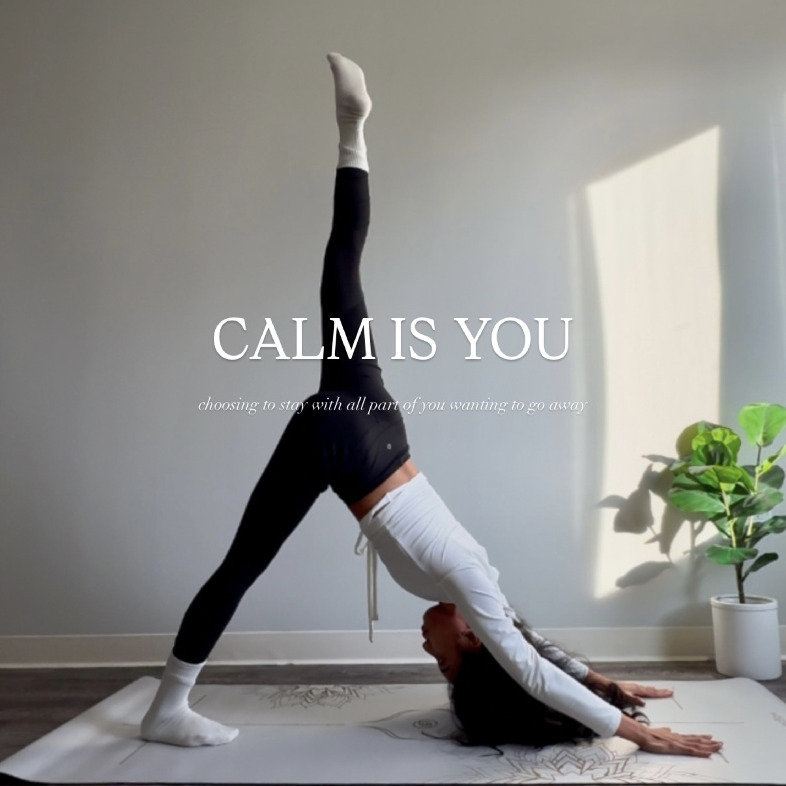 Her Calmness episode artwork