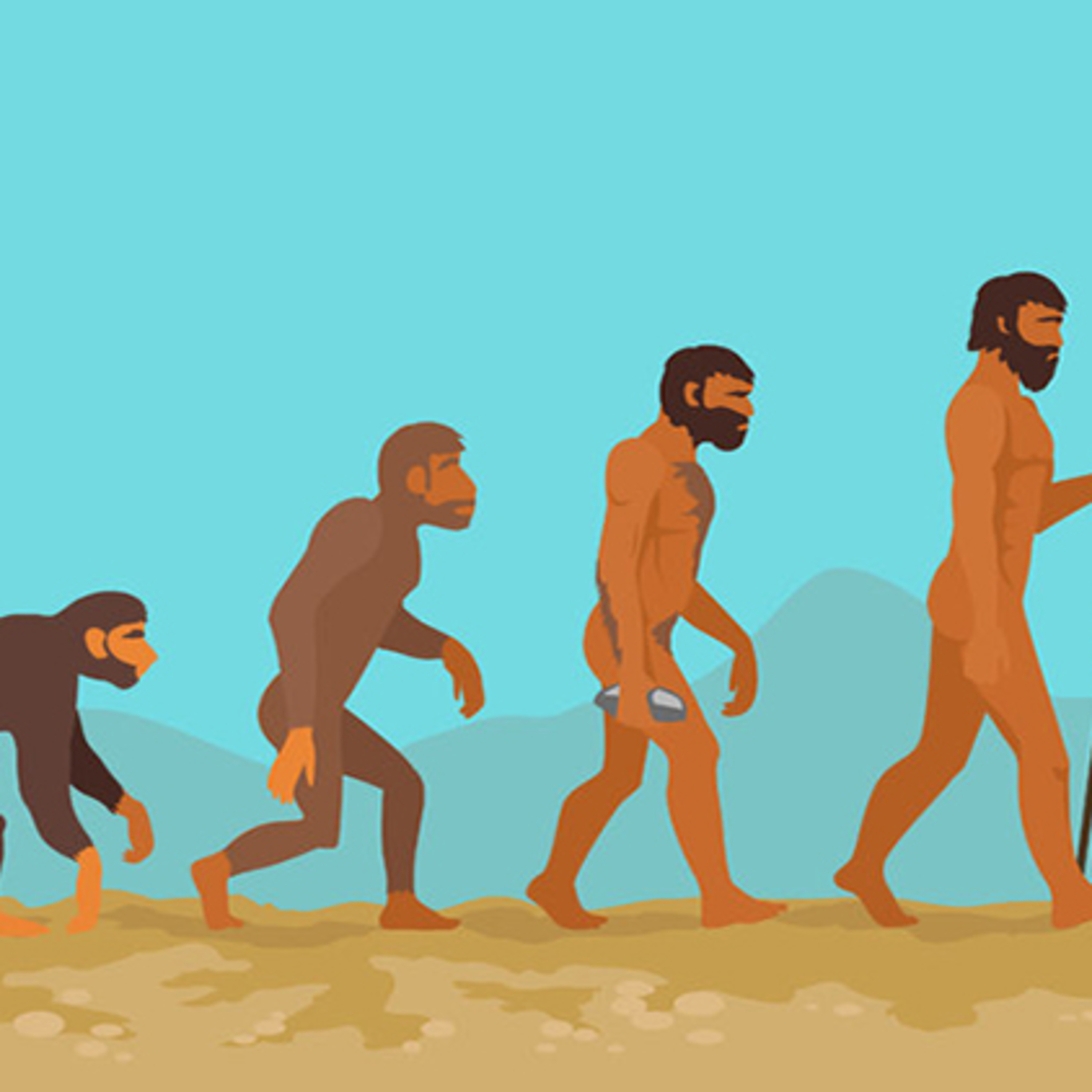 Combining biology and mathematics in educational comics to explain evolution episode artwork