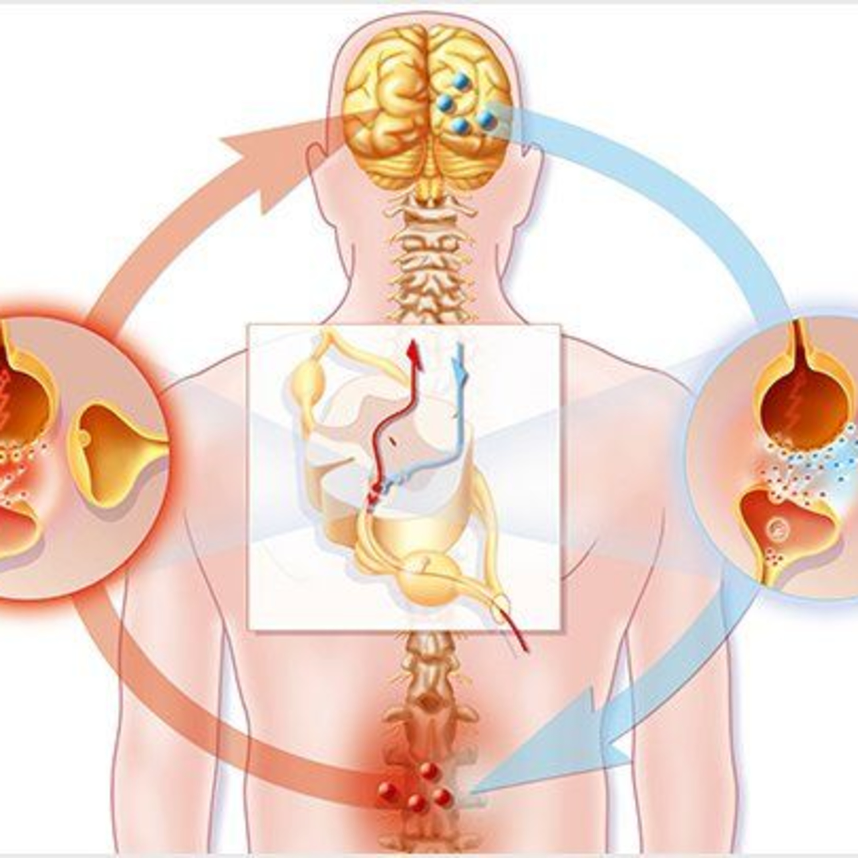 The Known Biology of Neuropathic Pain and Its Relevance to Pain Management episode artwork