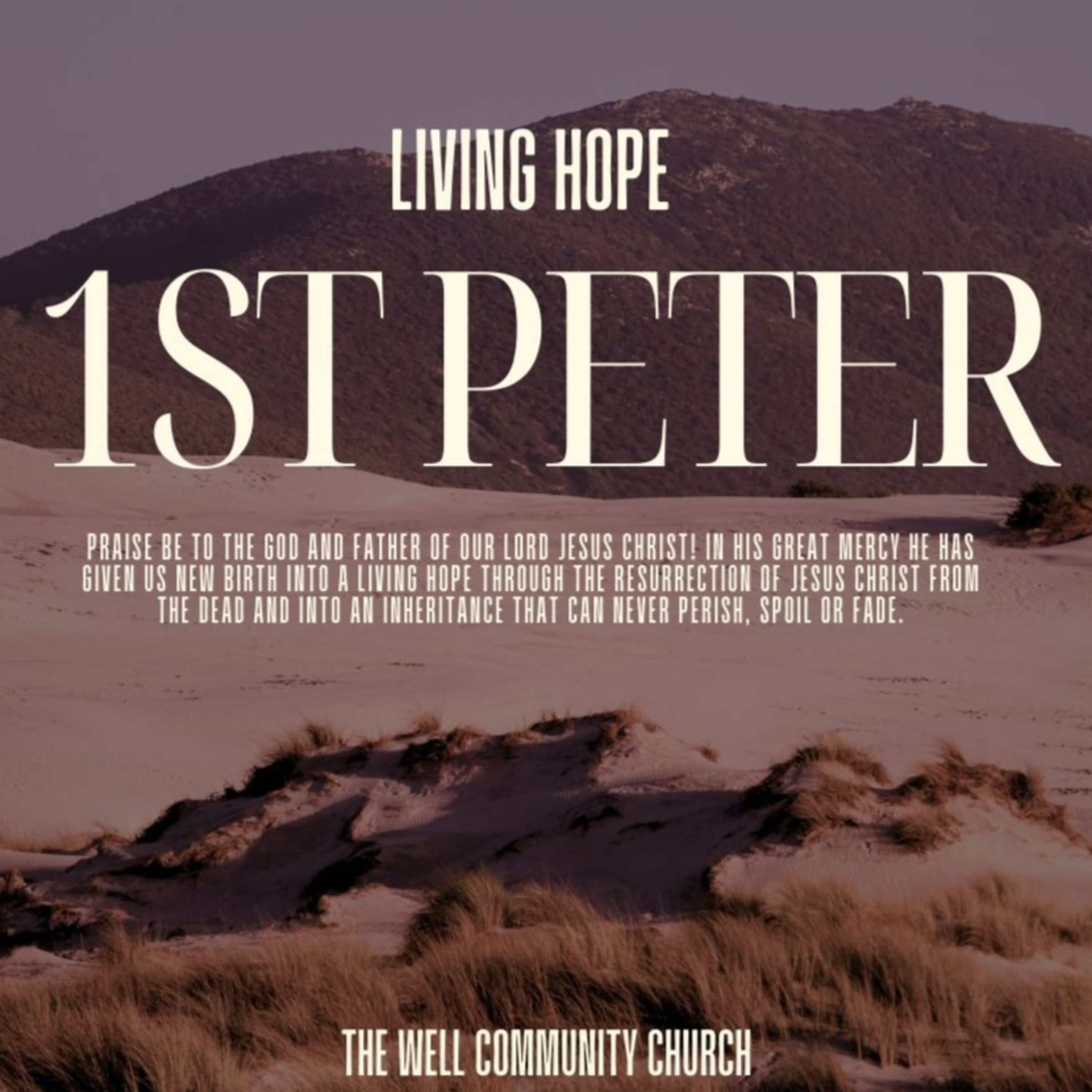 The Well Community Church Sermons