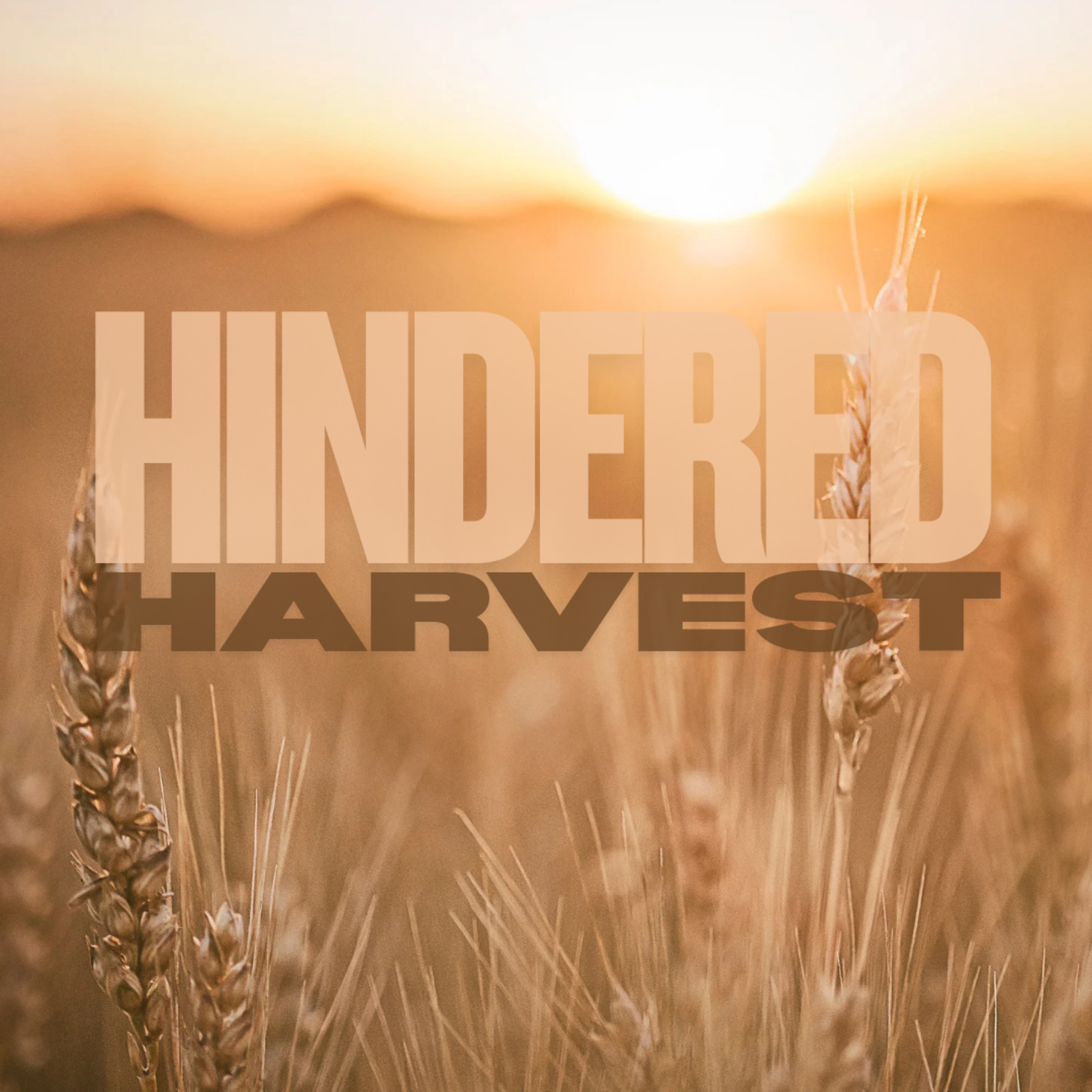 What's Keeping You from the Harvest God Desires for You? episode artwork