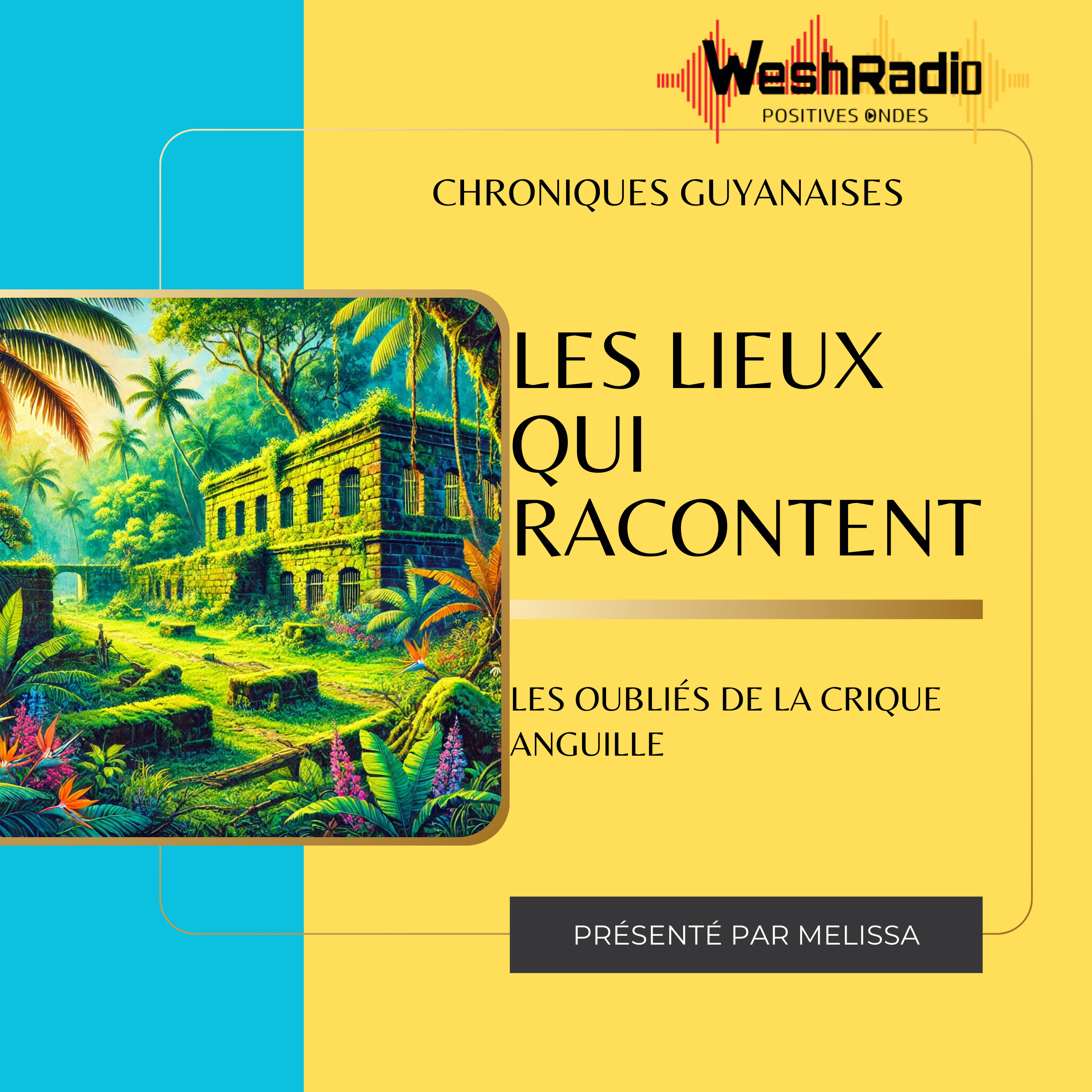 Les oubliés de la crique Anguille episode artwork