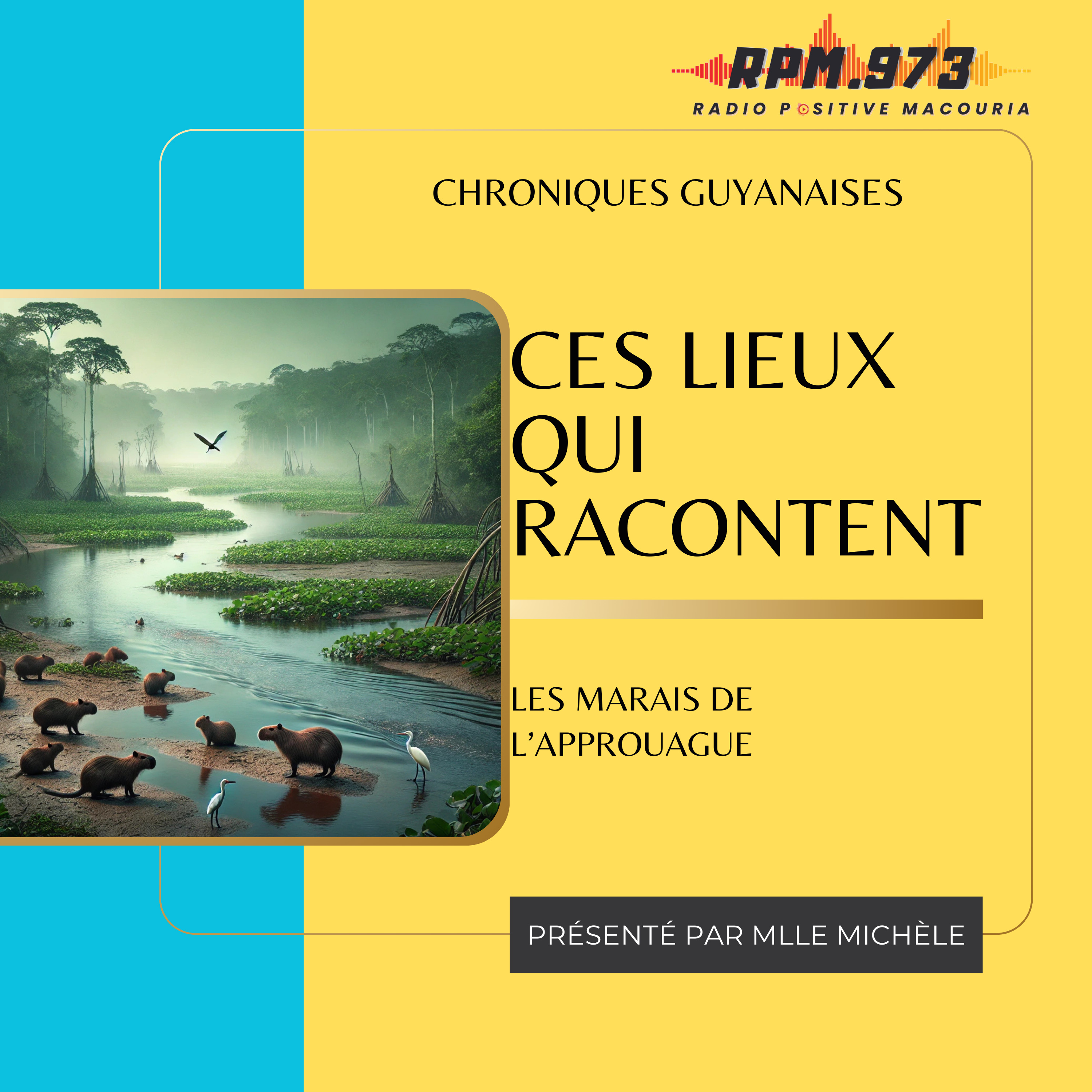 les marais de l’Approuague episode artwork