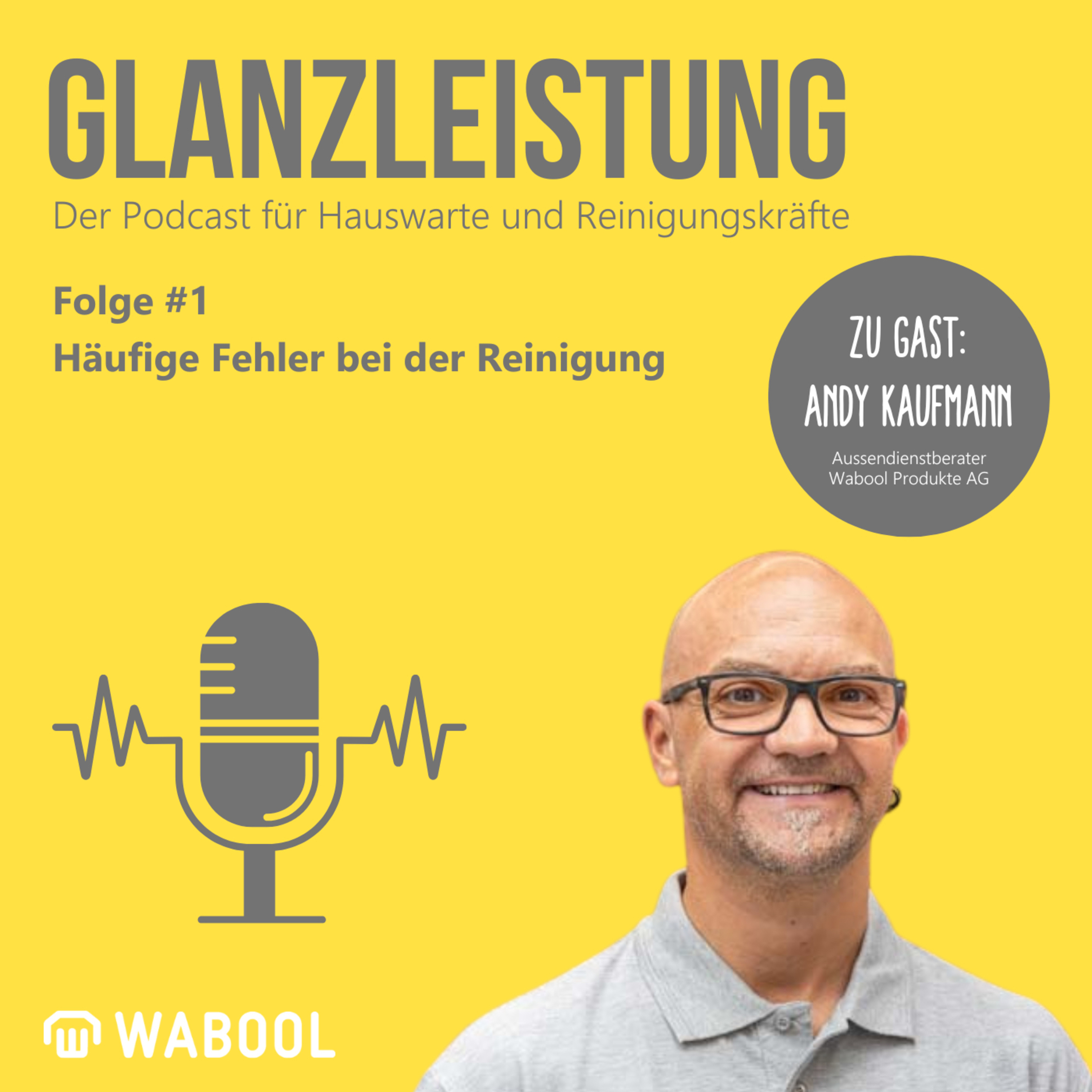 Häufige Fehler bei der Reinigung episode artwork
