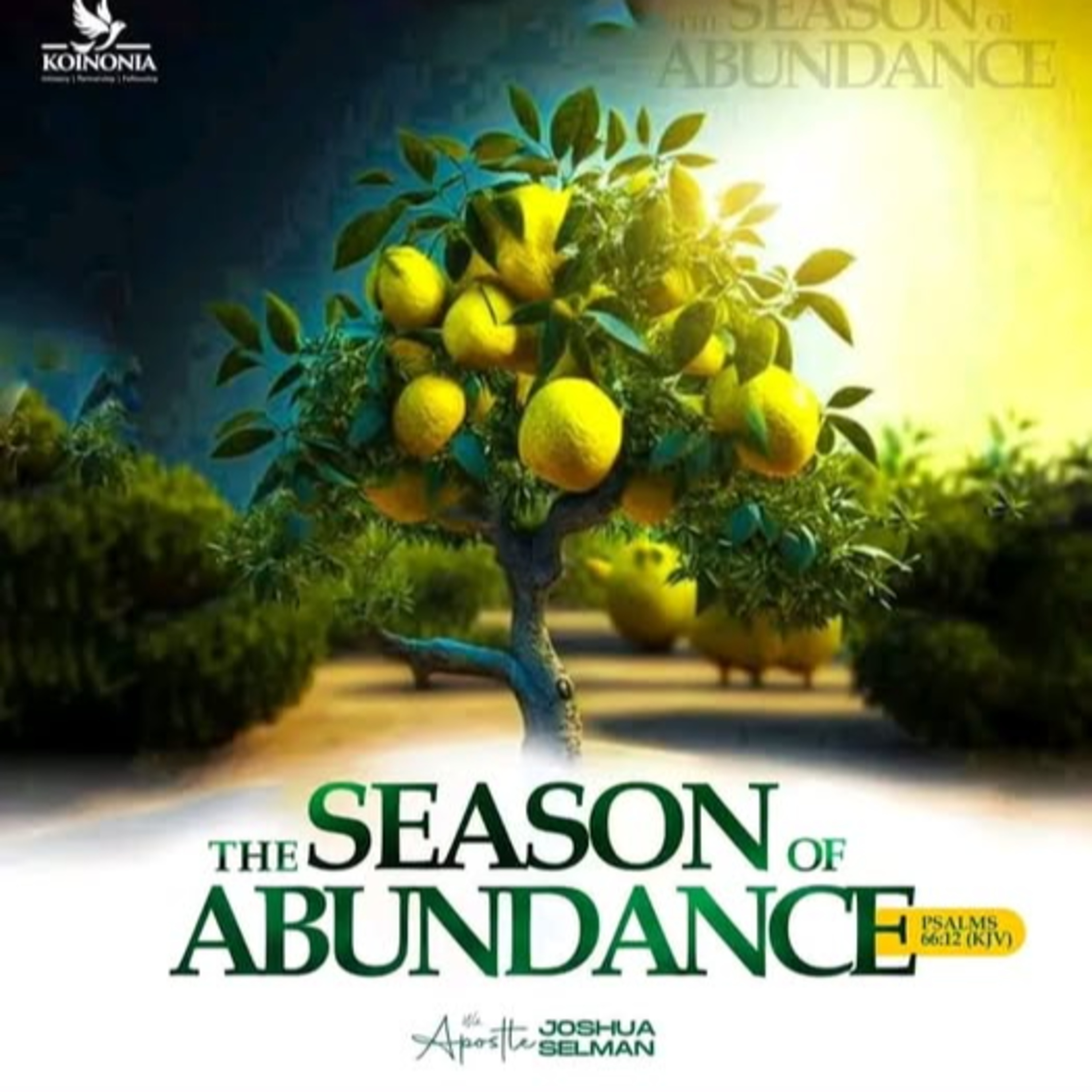 The Season of Abundance: The Mystery of Kingdom Wealth By Apostle Joshua Selman episode artwork