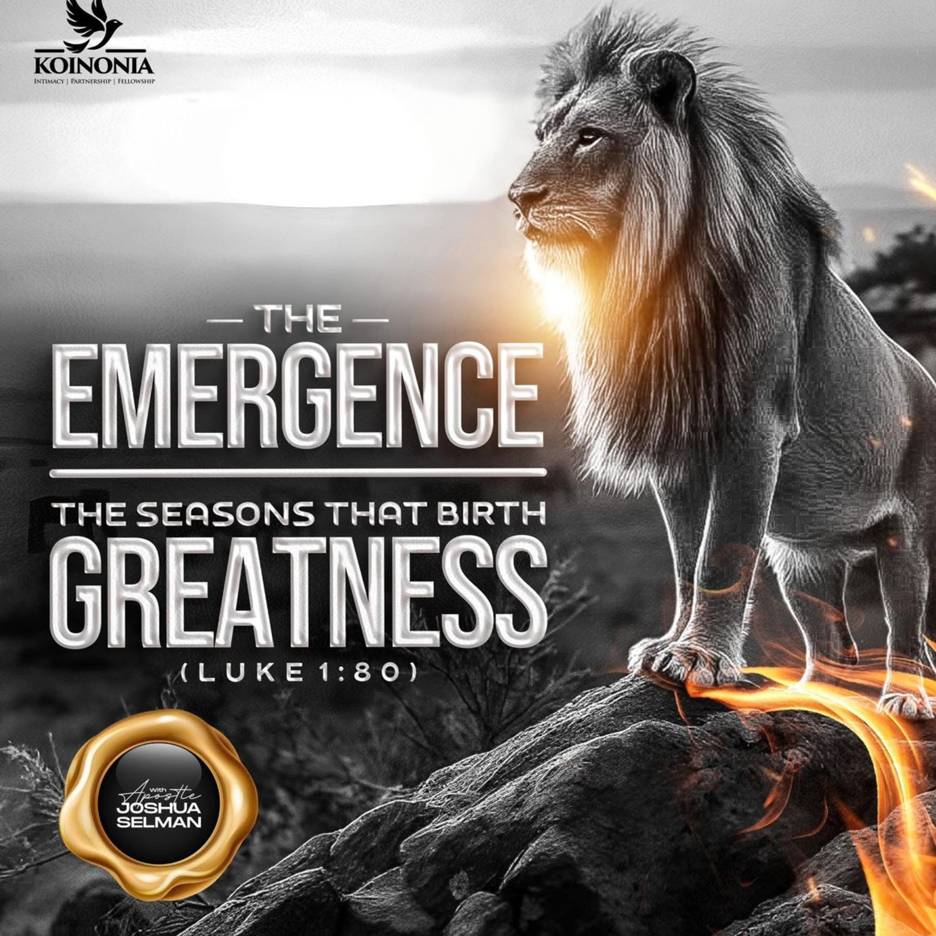 The Emergence: The Seasons that Birth Greatness by Apostle Joshua Selman episode artwork