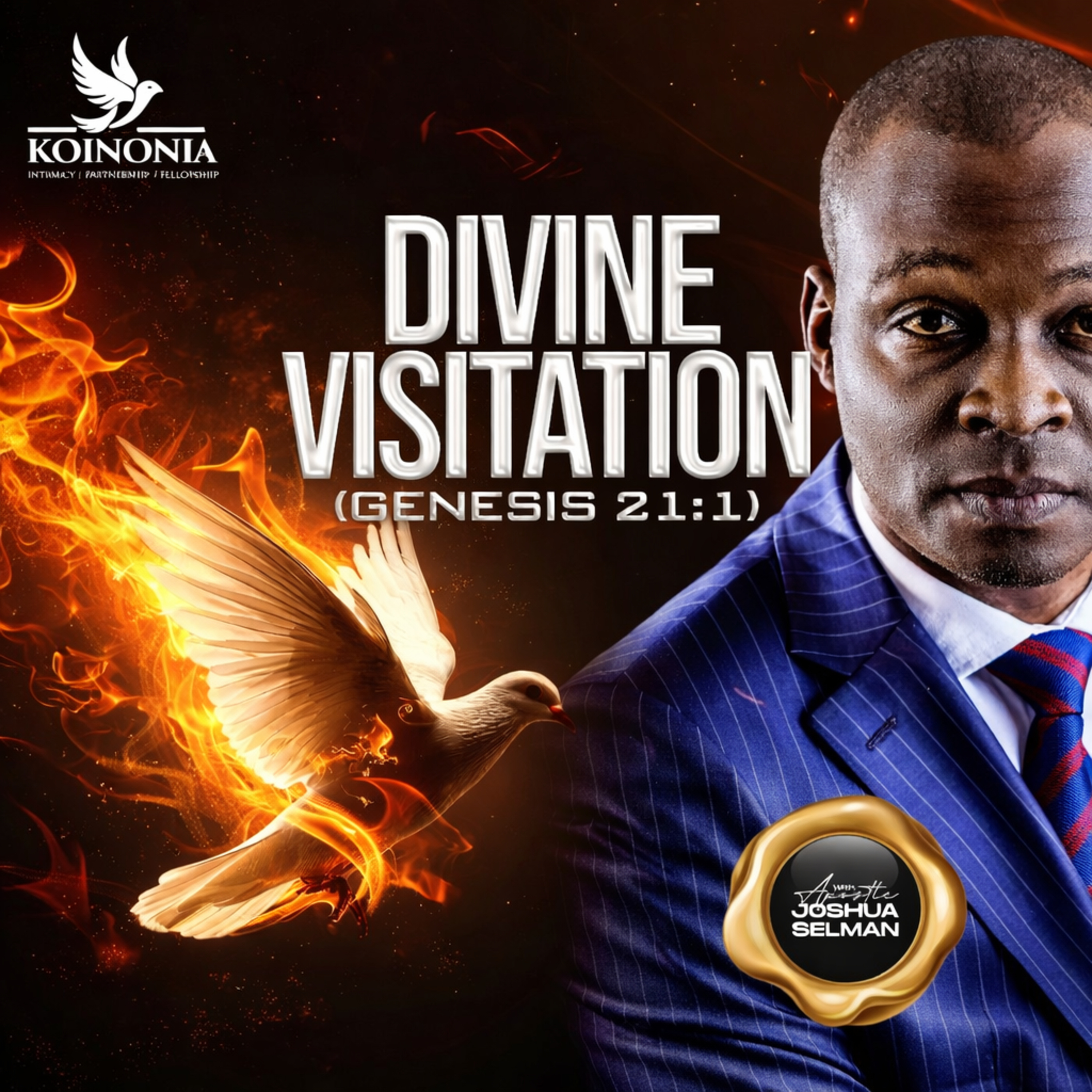 Divine Visitation by Apostle Joshua Selman (No More Delay Crusade 2026 | Ogun, Nigeria) episode artwork