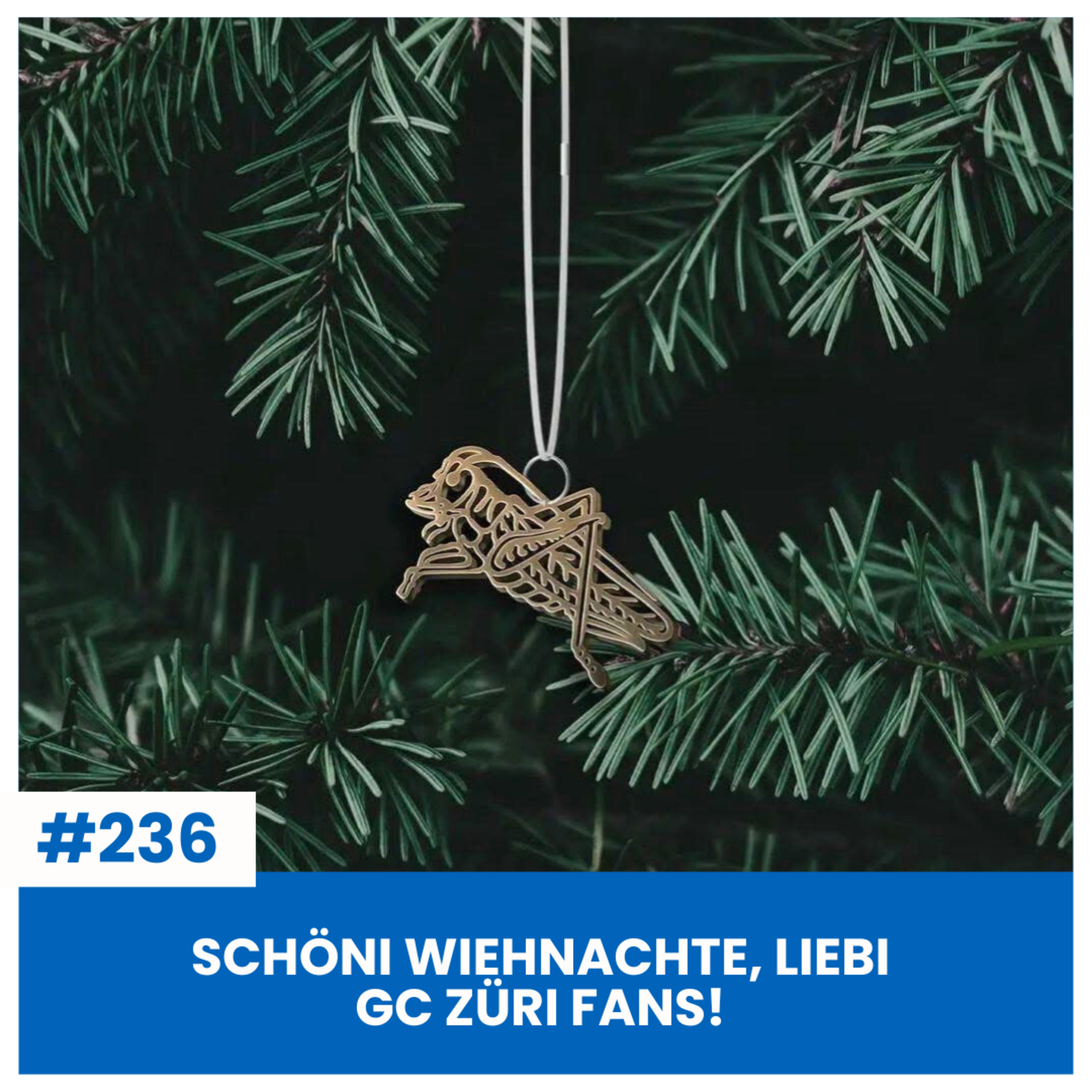 GWALTTAT NACHEM GCZ-SPIEL! | ULRICH ALBERS - ES LEBE FÜR ZÜRI | WIEHNACHTSGRÜESS & PODCAST-SPEND | SÄCHSFOIF #236