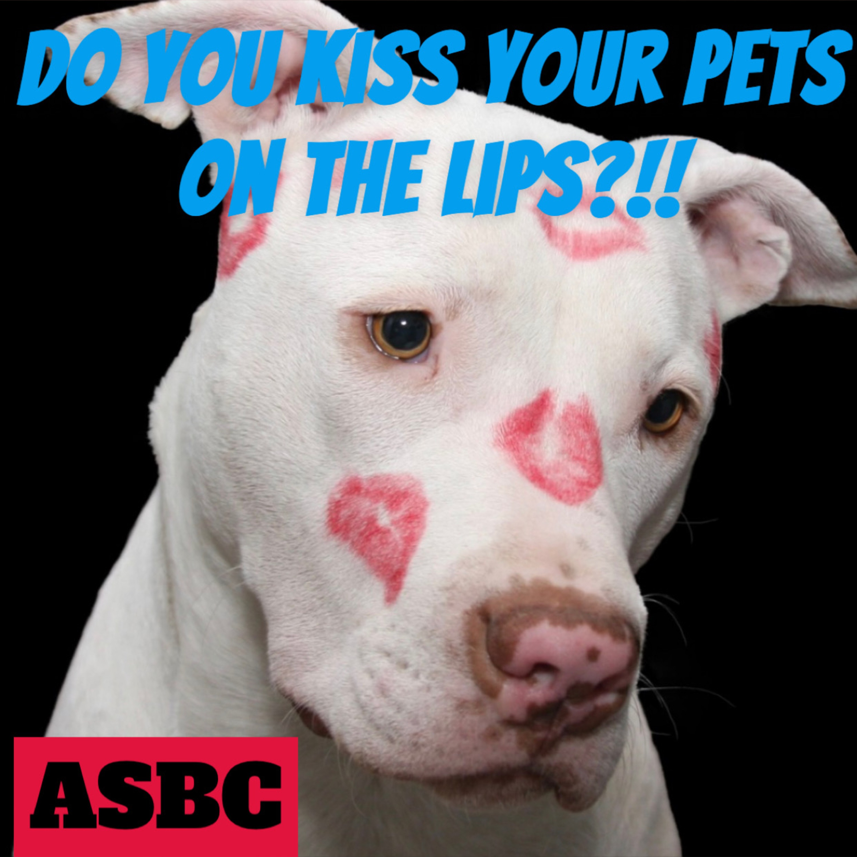 Do You Kiss Your Pets On The Lips?! episode artwork